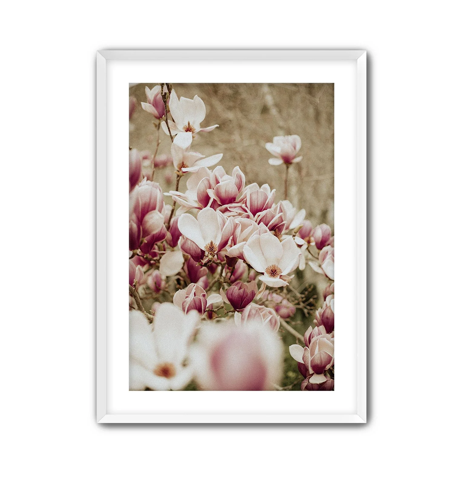 Twinning White Frame.jpg