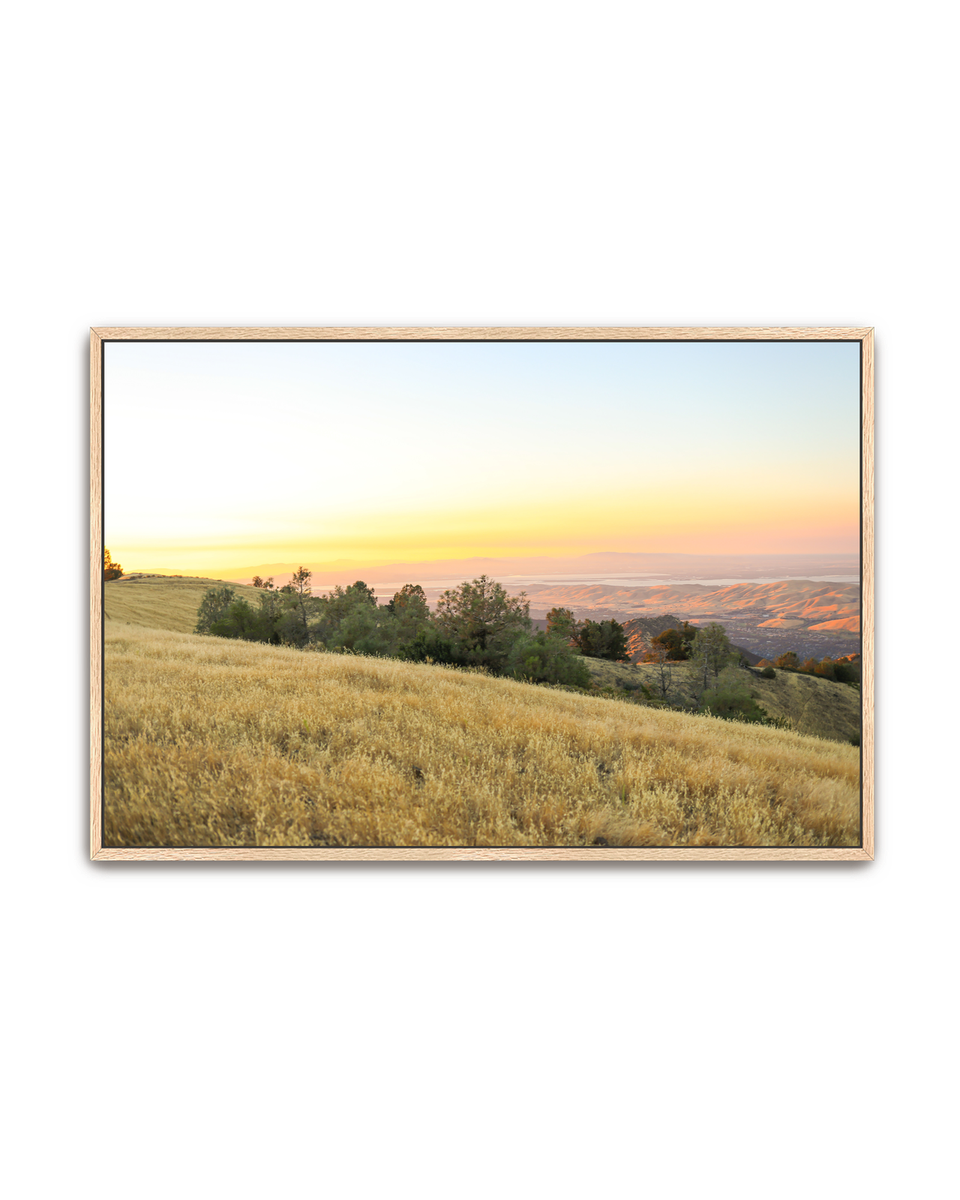 golden-ridge-oak-canvas.png