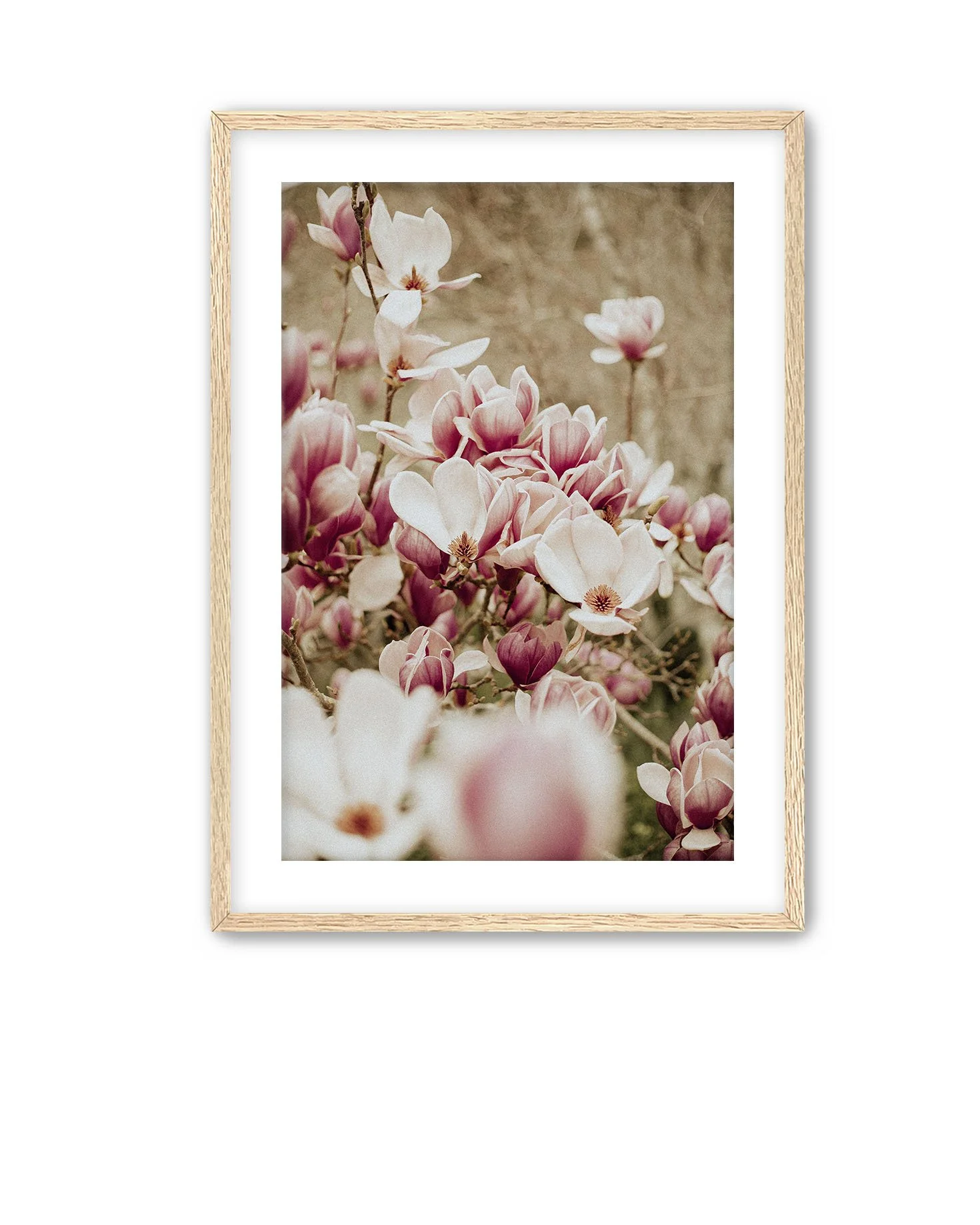 Oak Frame Magnolia 11.jpg
