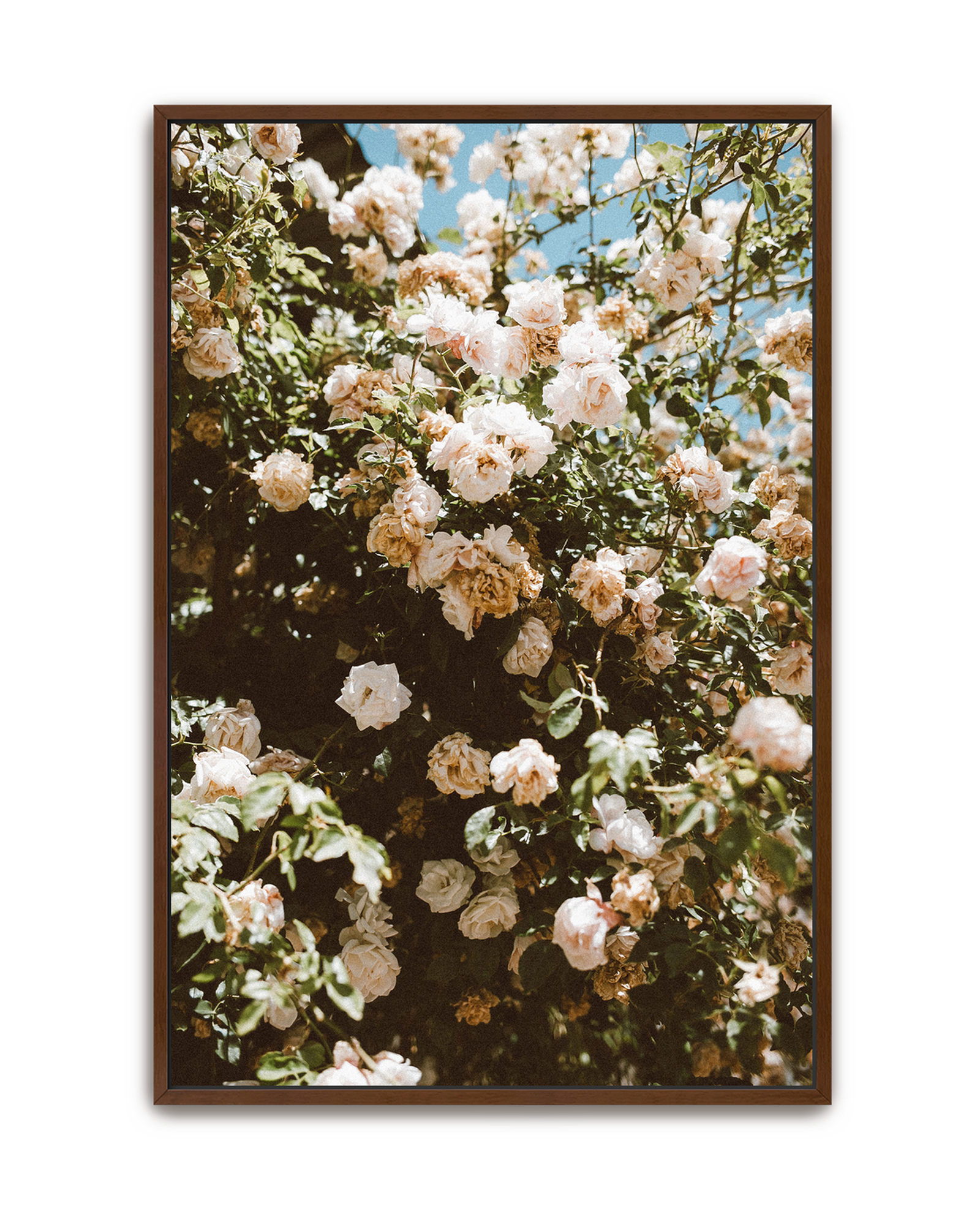 endless-garden-walnut-canvas.png
