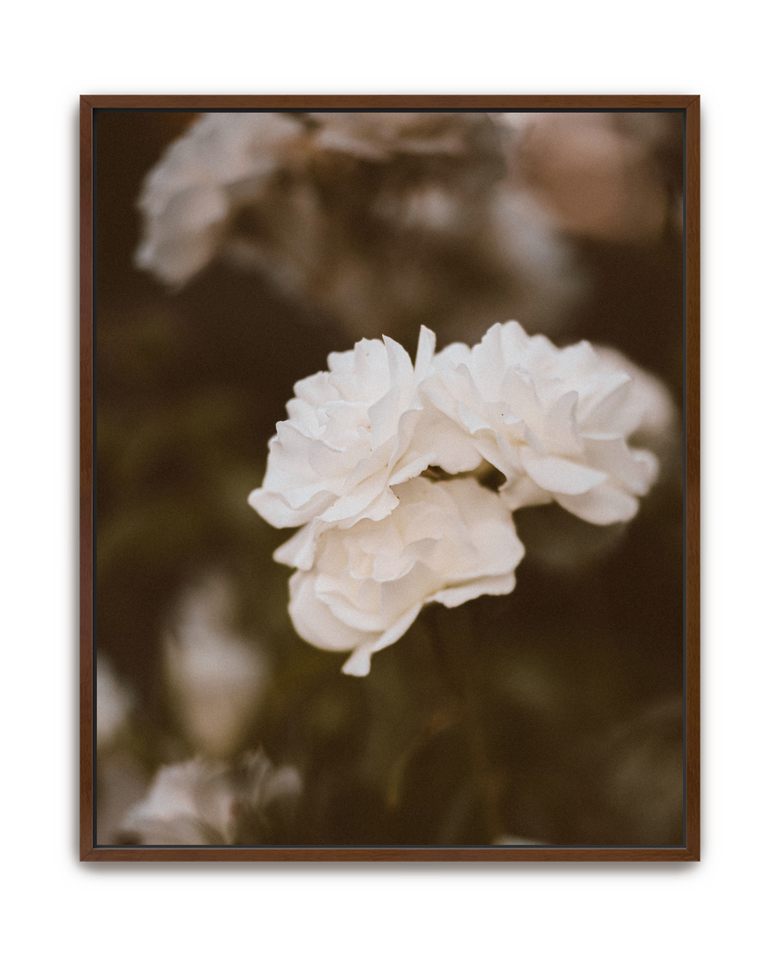 soft-light-walnut-canvas.png
