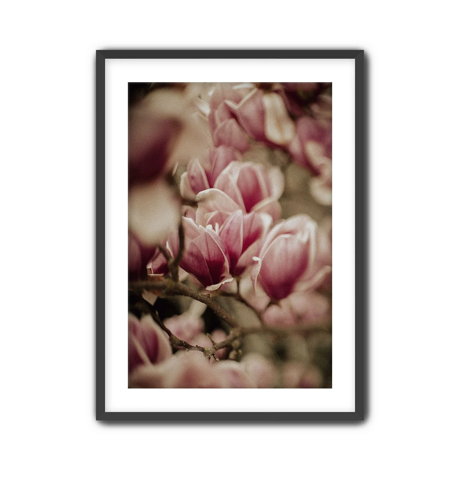 Spring Peeks Black Frame.jpg