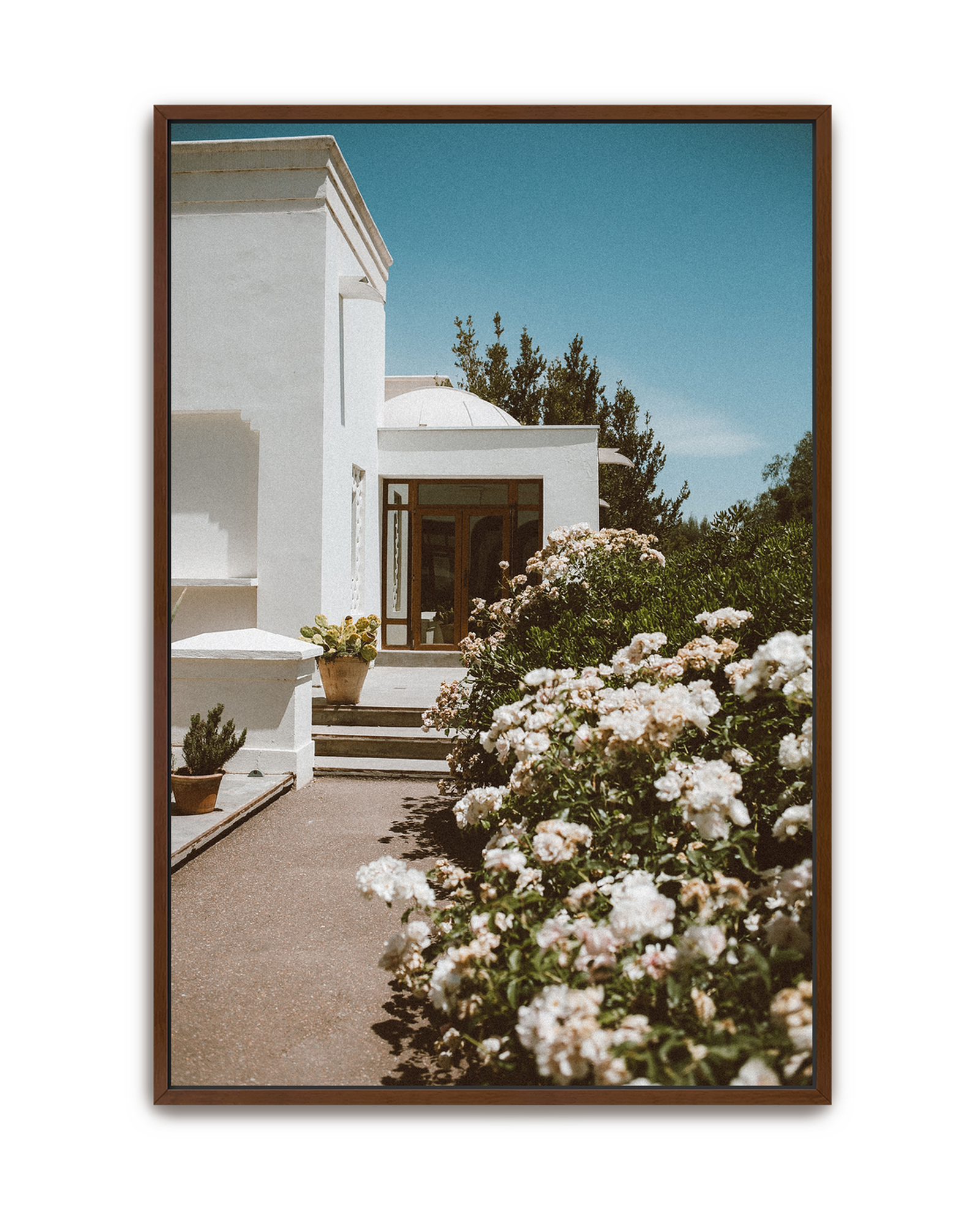 white-summer-walnut-canvas.png