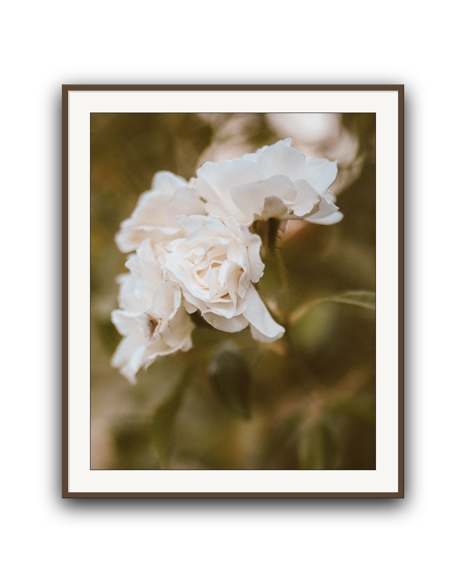 garden-whisper-walnut-matted.png