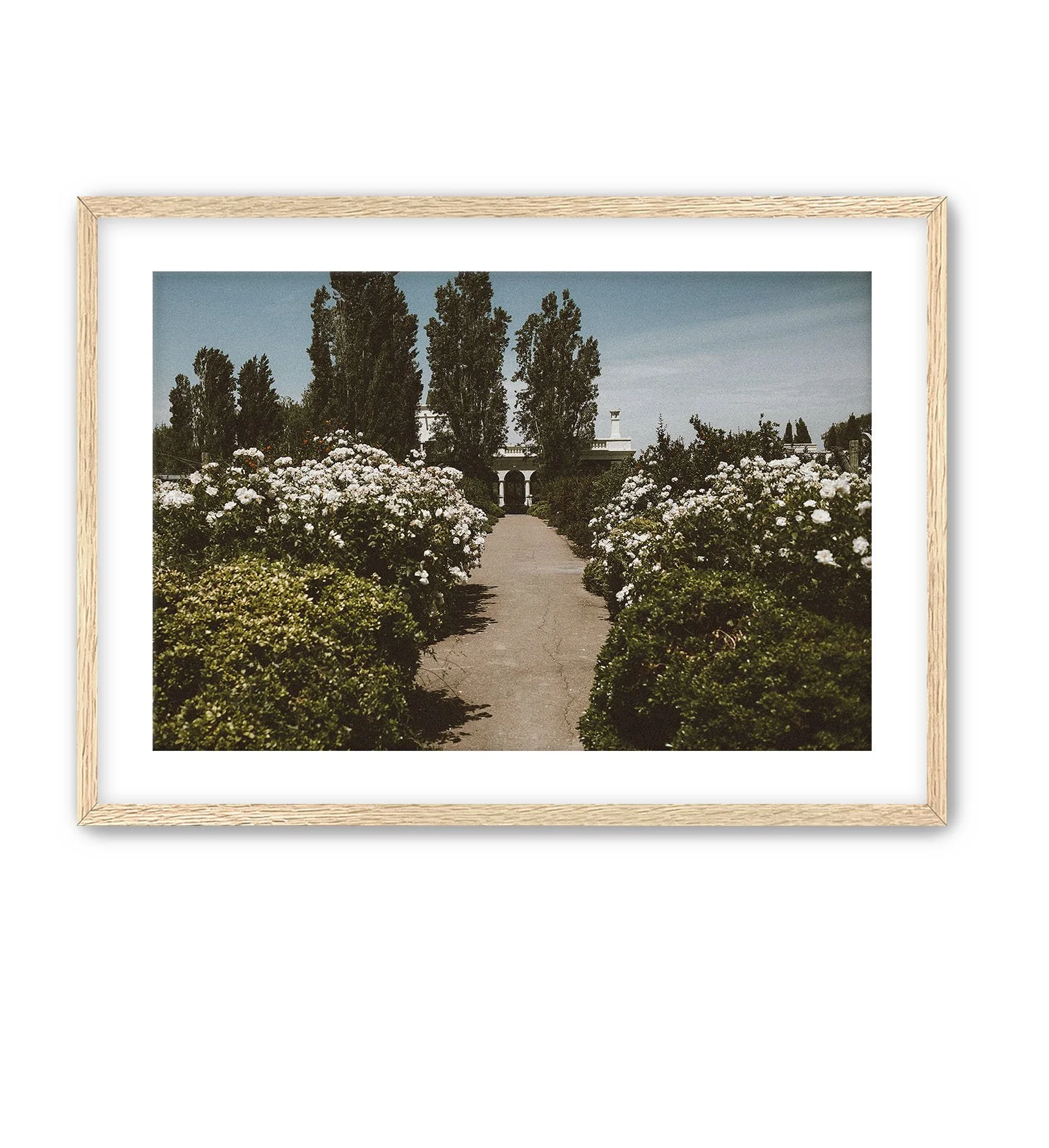 Oak Frame Floral Pathway.jpg