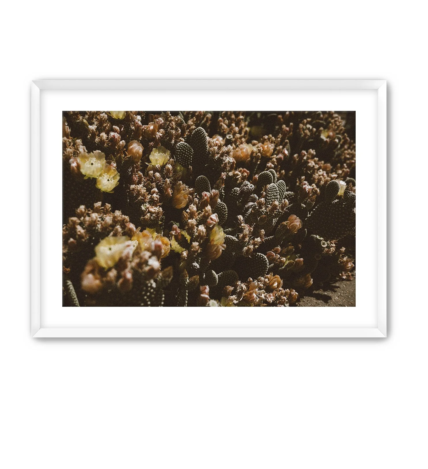 White Frame Cactus Art.jpg