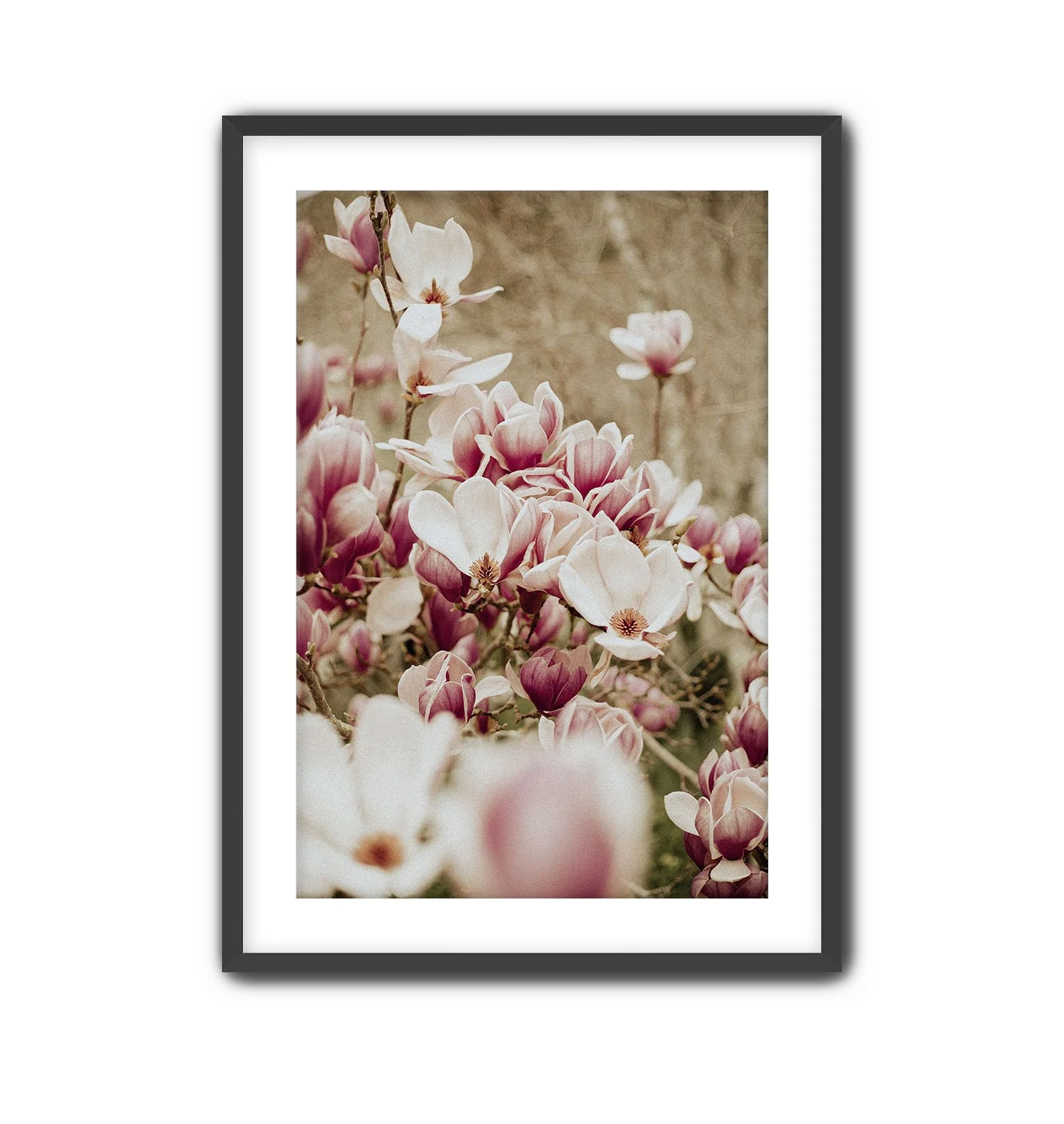 Twinning Black Frame.jpg