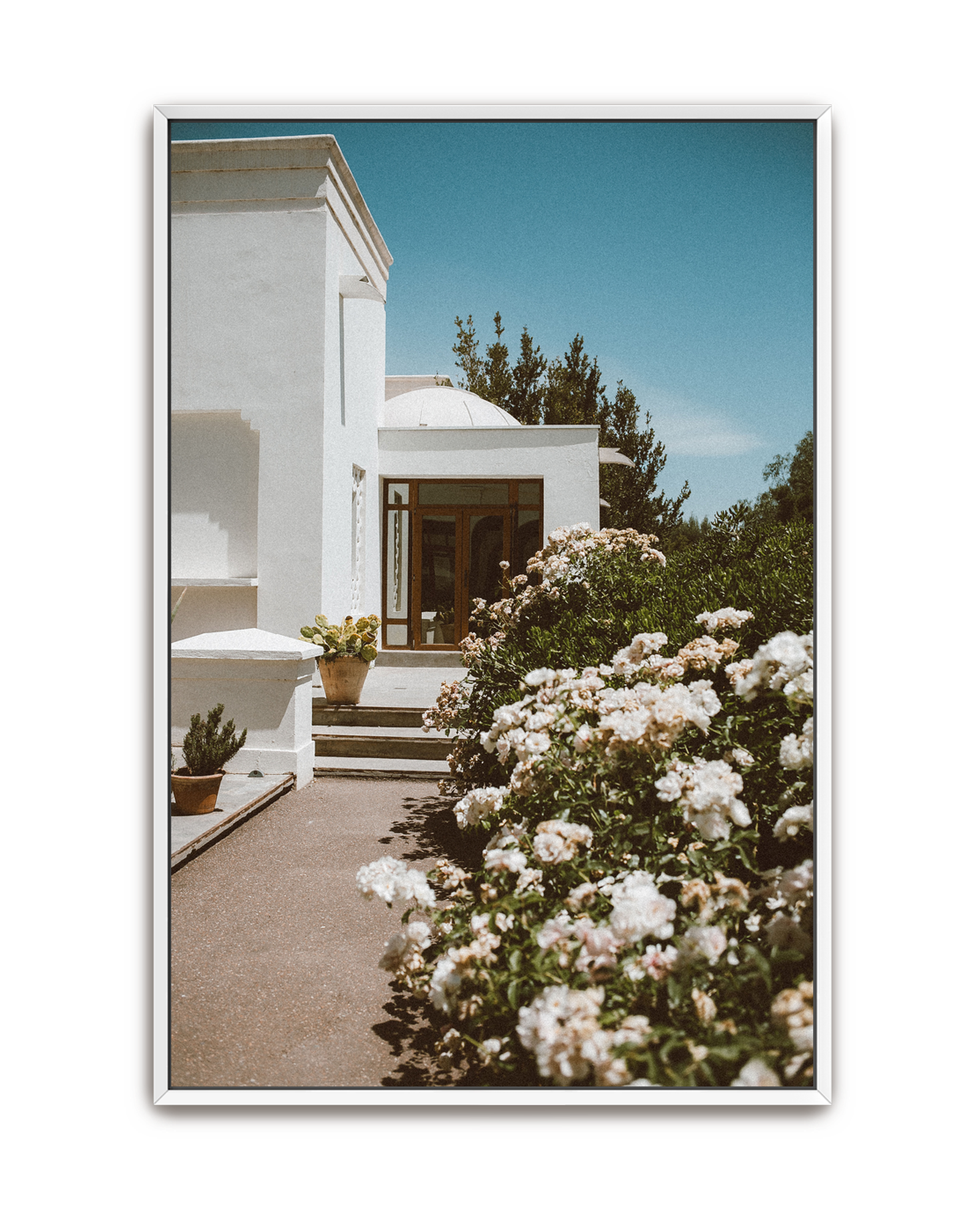 white-summer-white-canvas.png