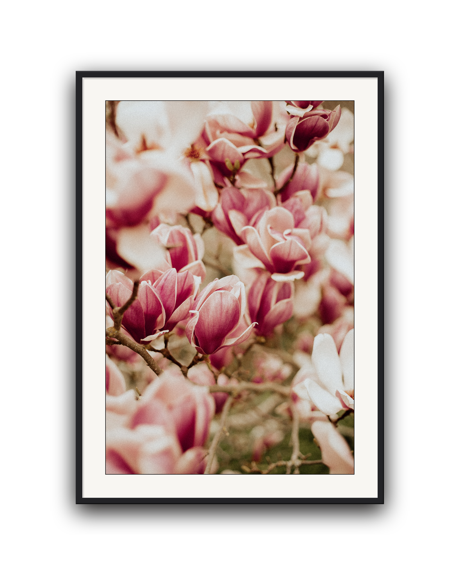 spring-chorus-black-matted.png