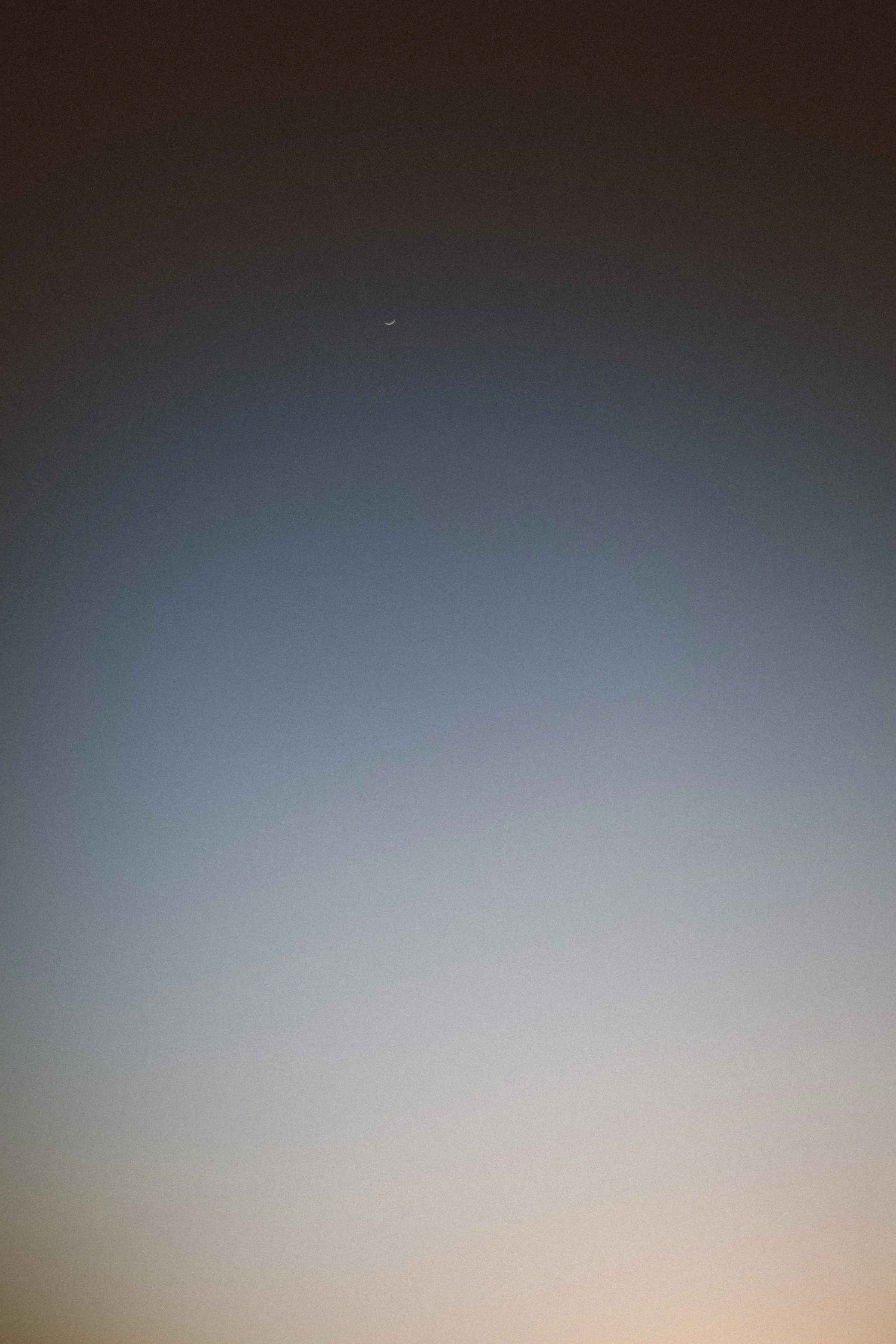 moonrise-hero.jpg
