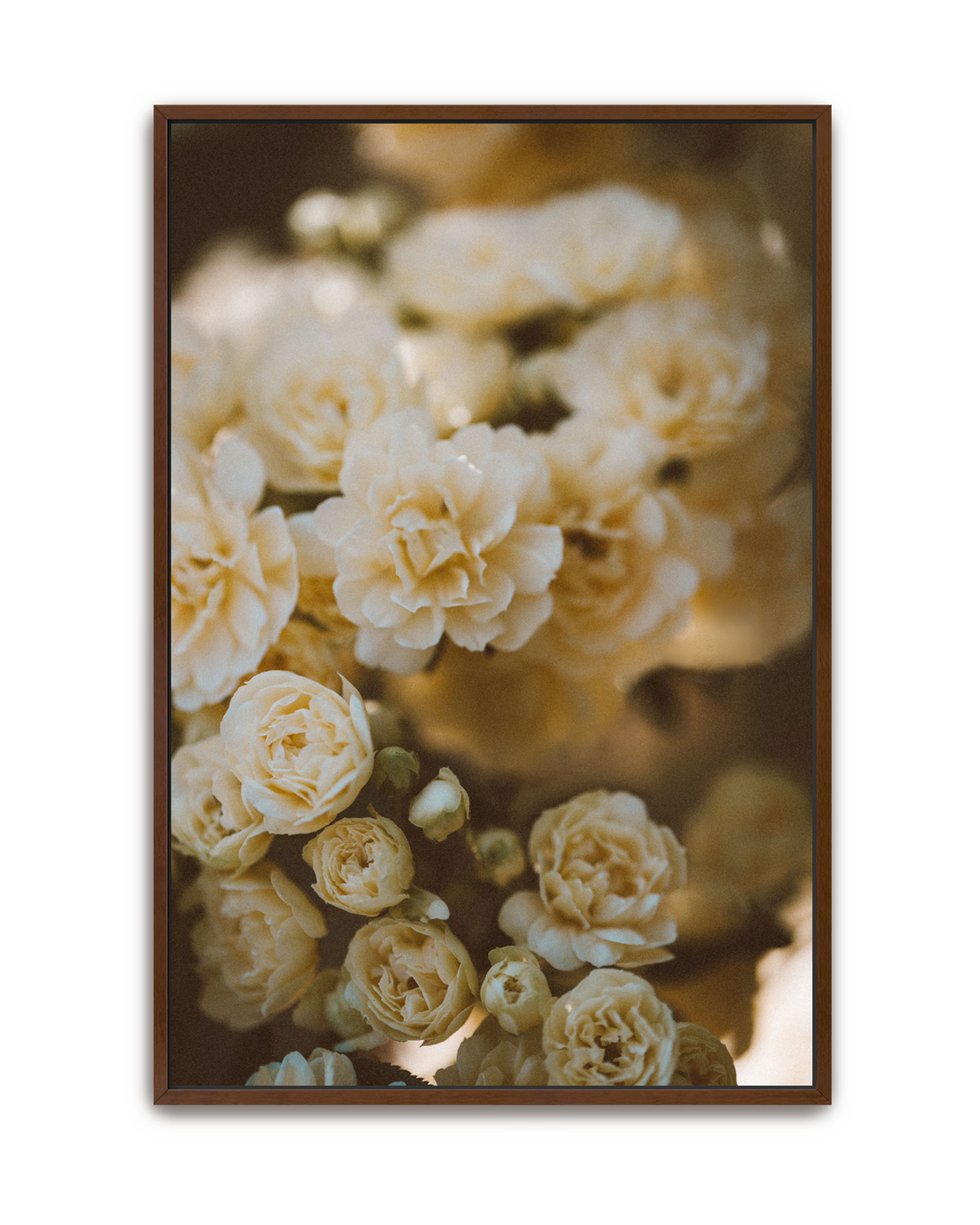 wild-bloom-walnut-canvas.png