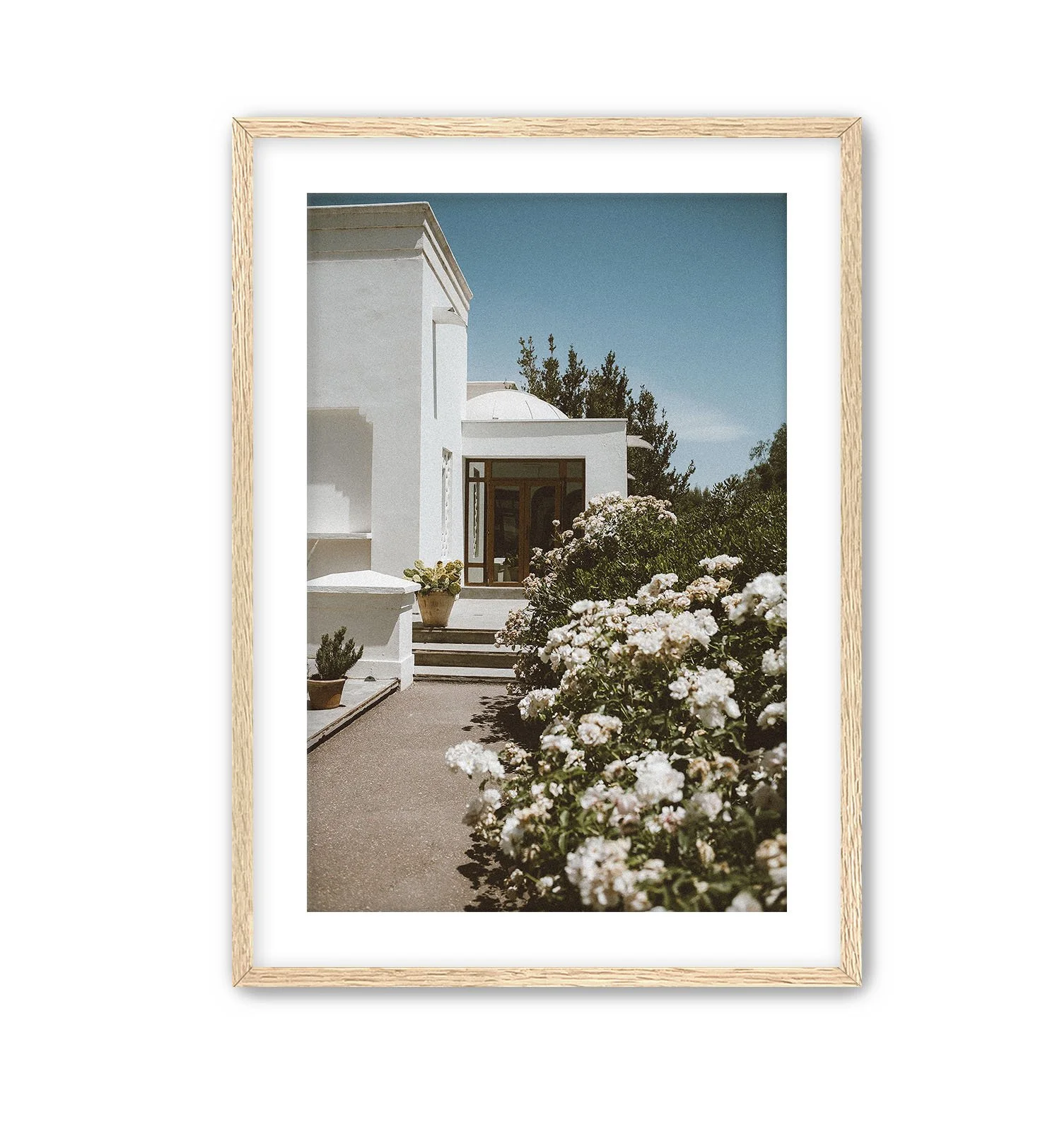 Natural Frame Floral Pathway.jpg