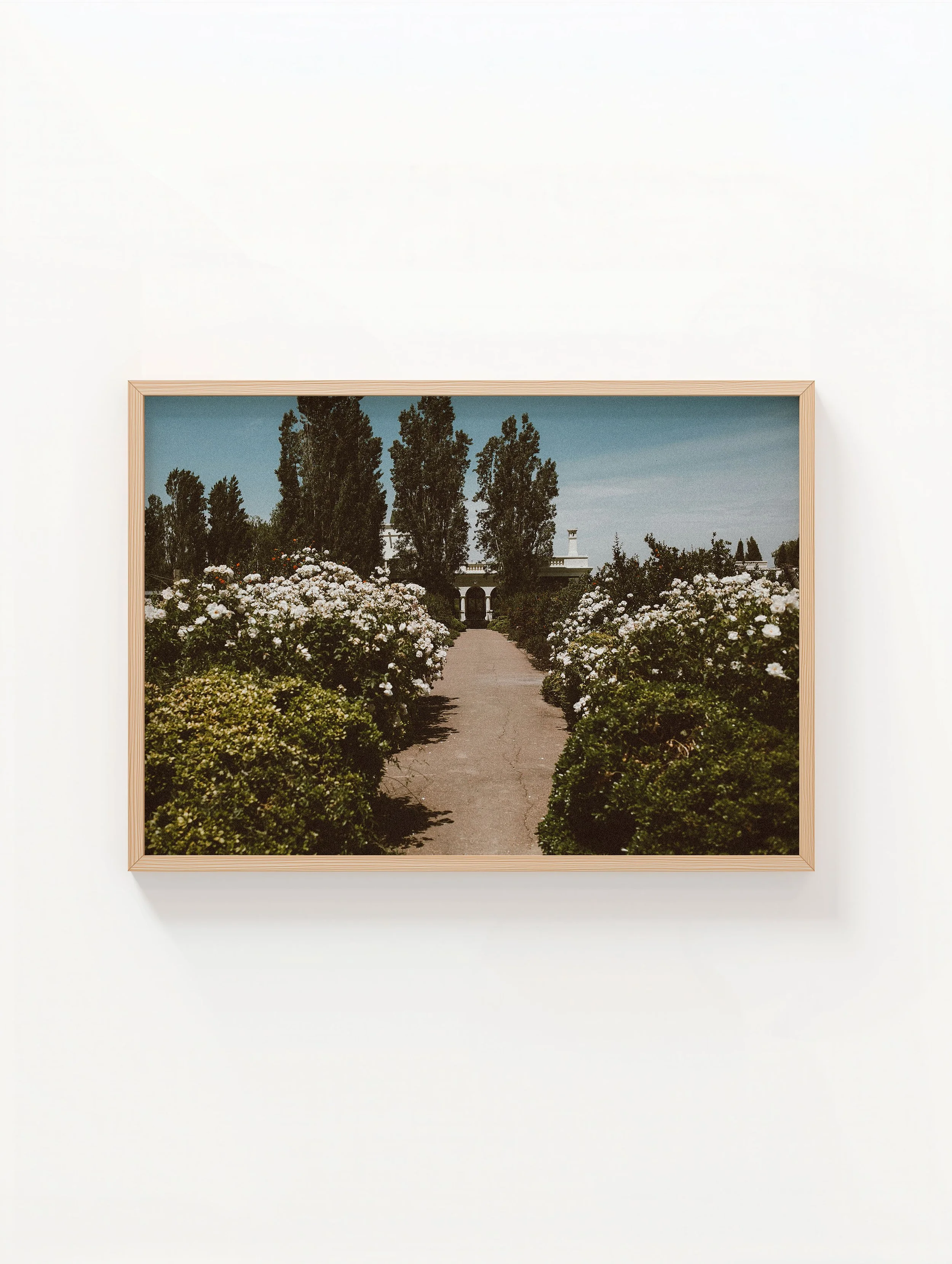 XL Oak Frame Floral Pathway.jpg