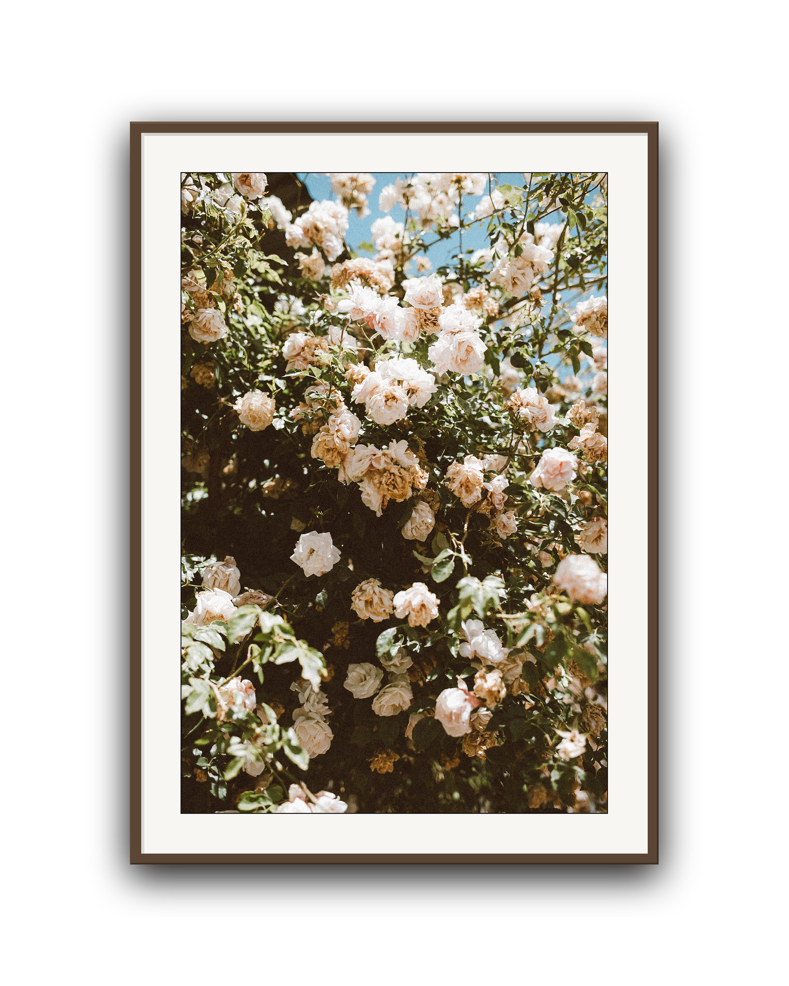 endless-garden-walnut-matted.png