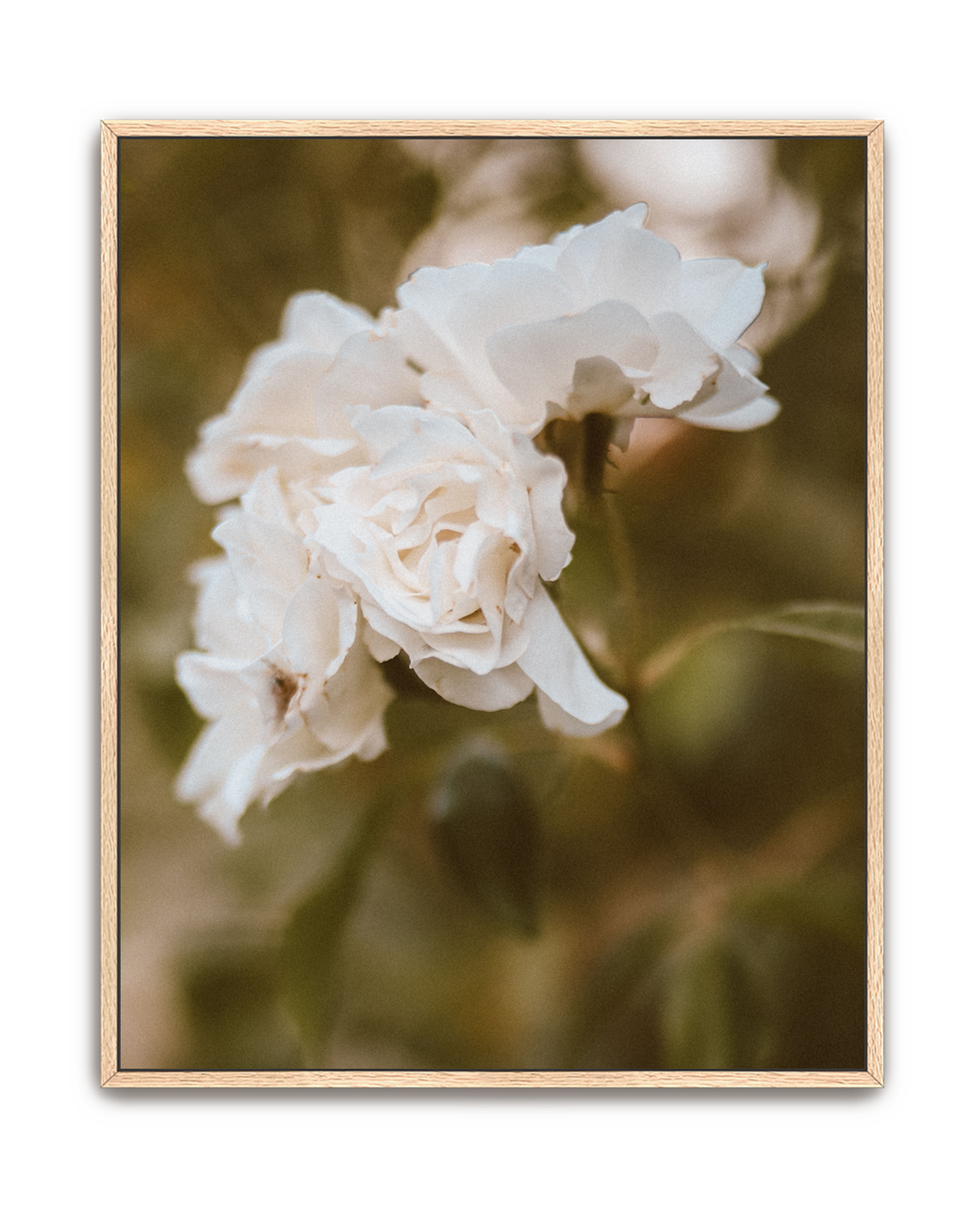 garden-whisper-oak-canvas.png