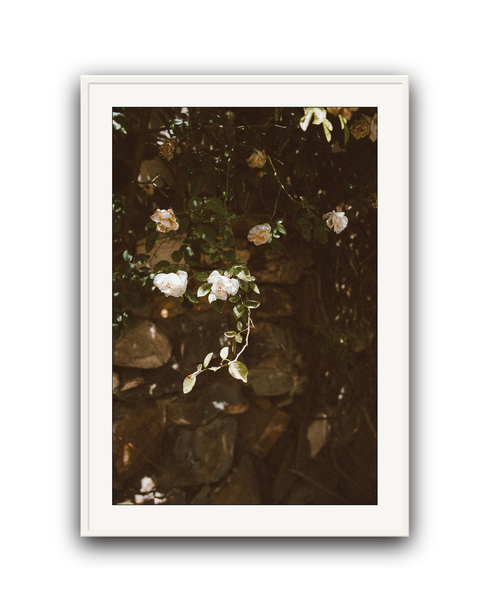 Quiet Garden