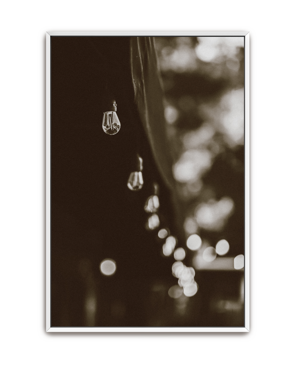 lights-white-canvas.png