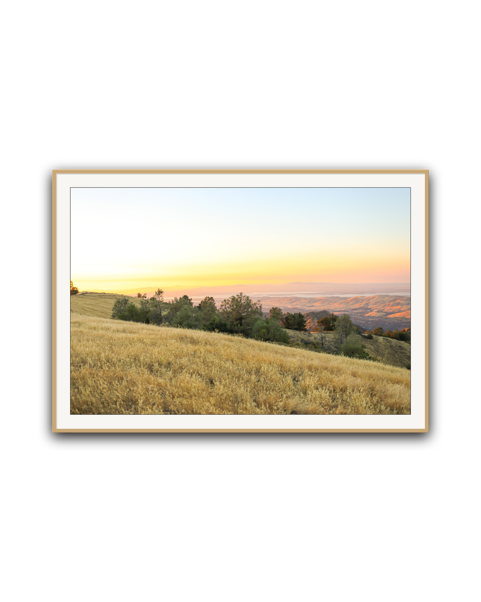 golden-ridge-oak-matted.png