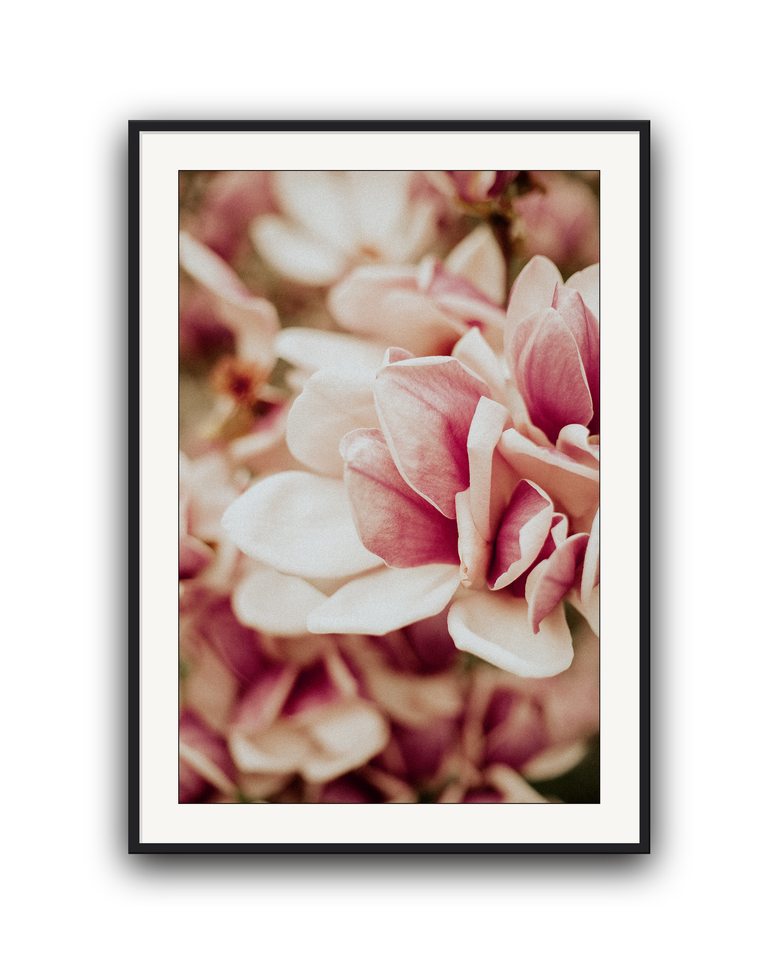 pink-velvet-black-matted.png
