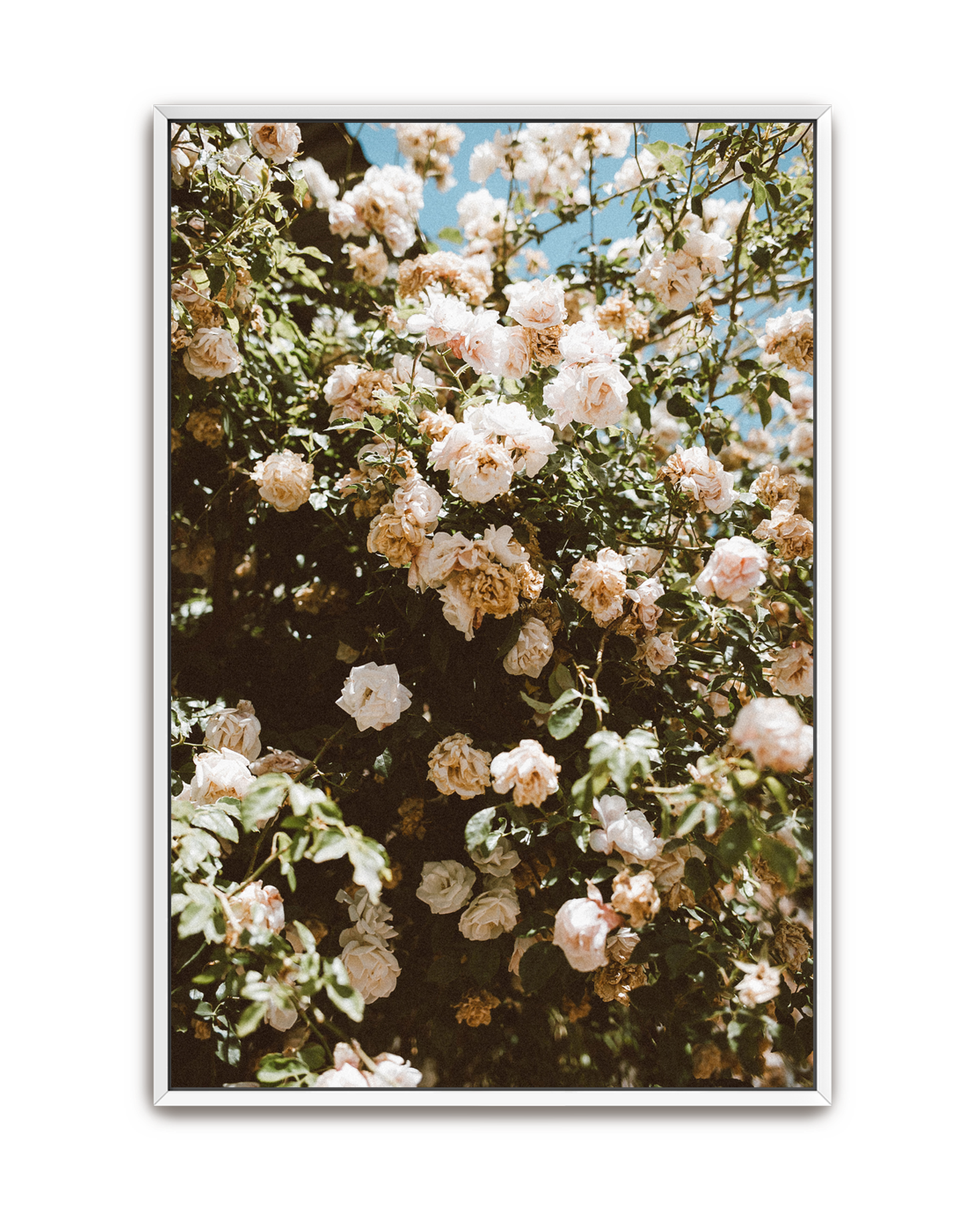 endless-garden-white-canvas.png