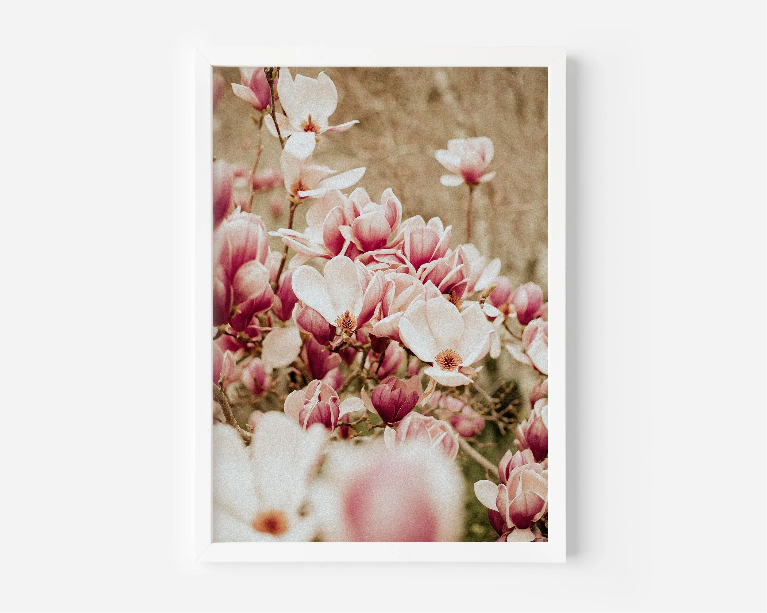 Twinning XL White Frame.jpg