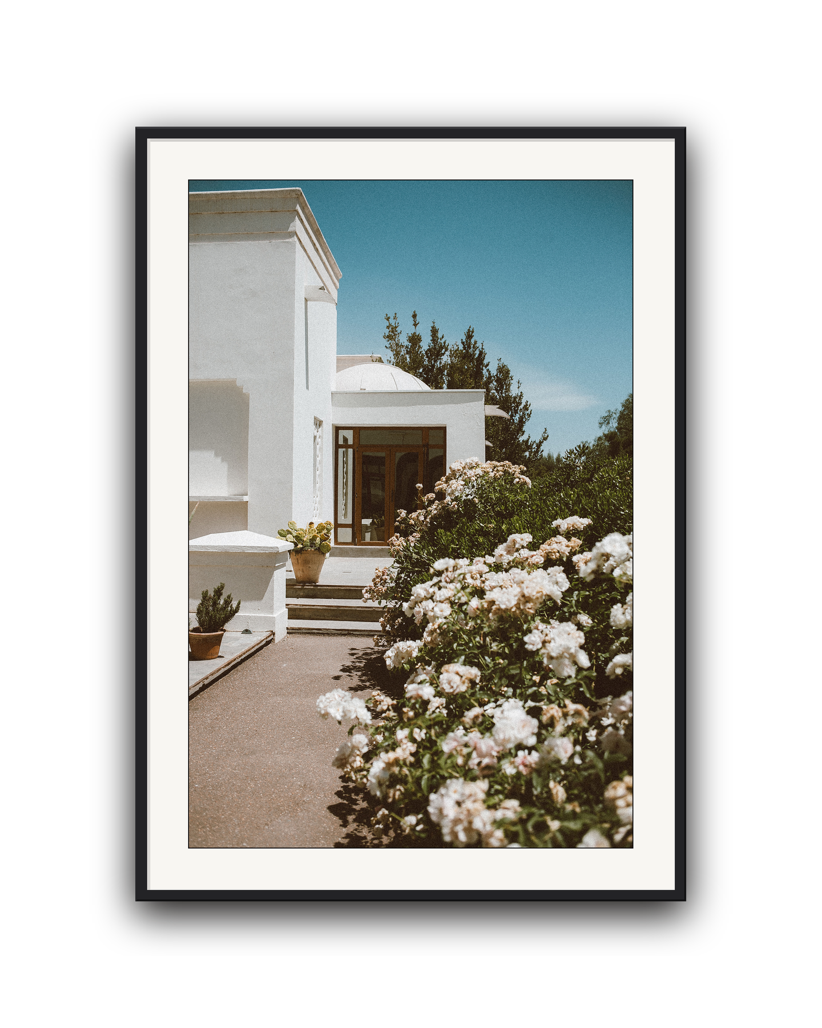 white-summer-black-matted.png