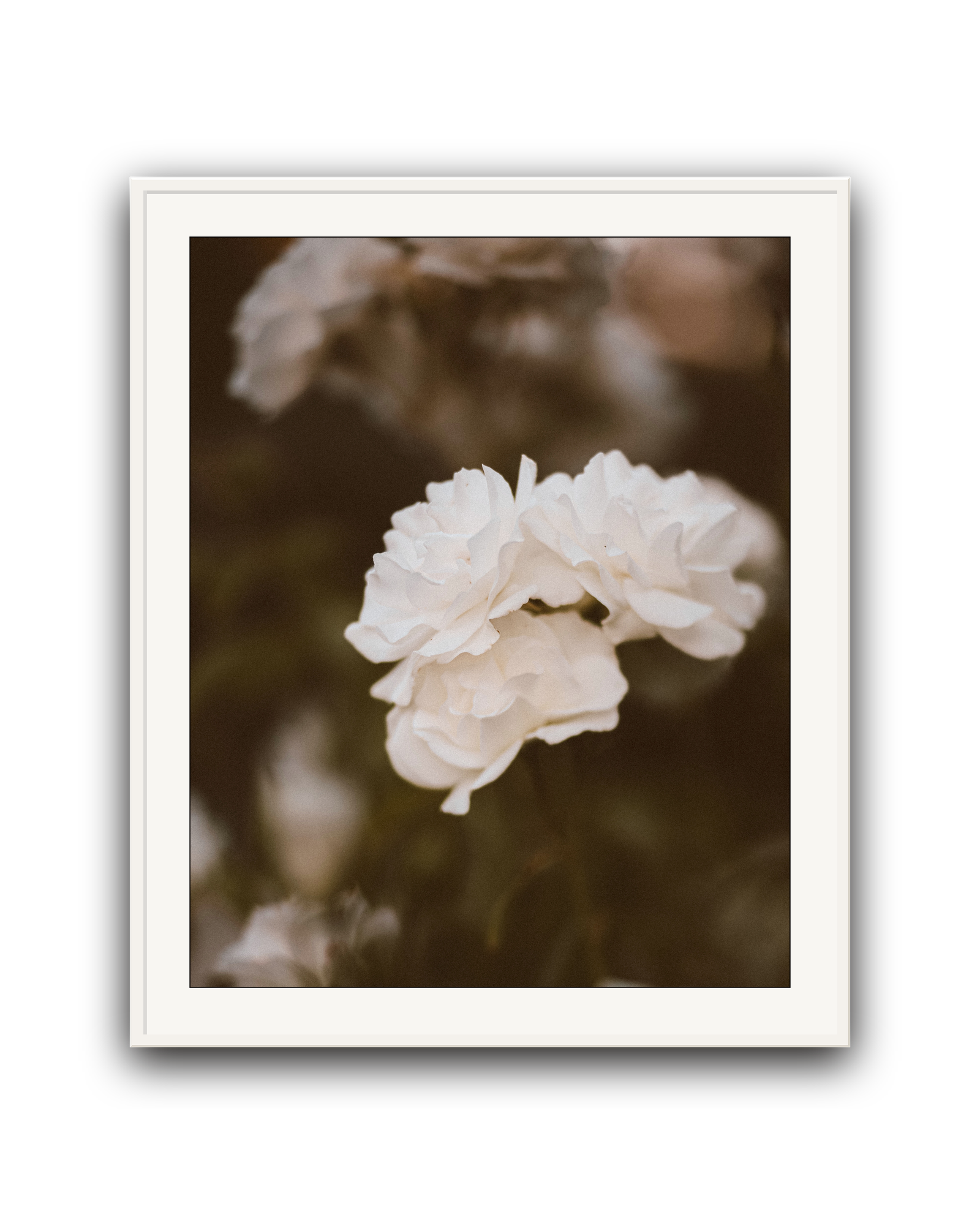 Porcelain Cloud - Limited Edition