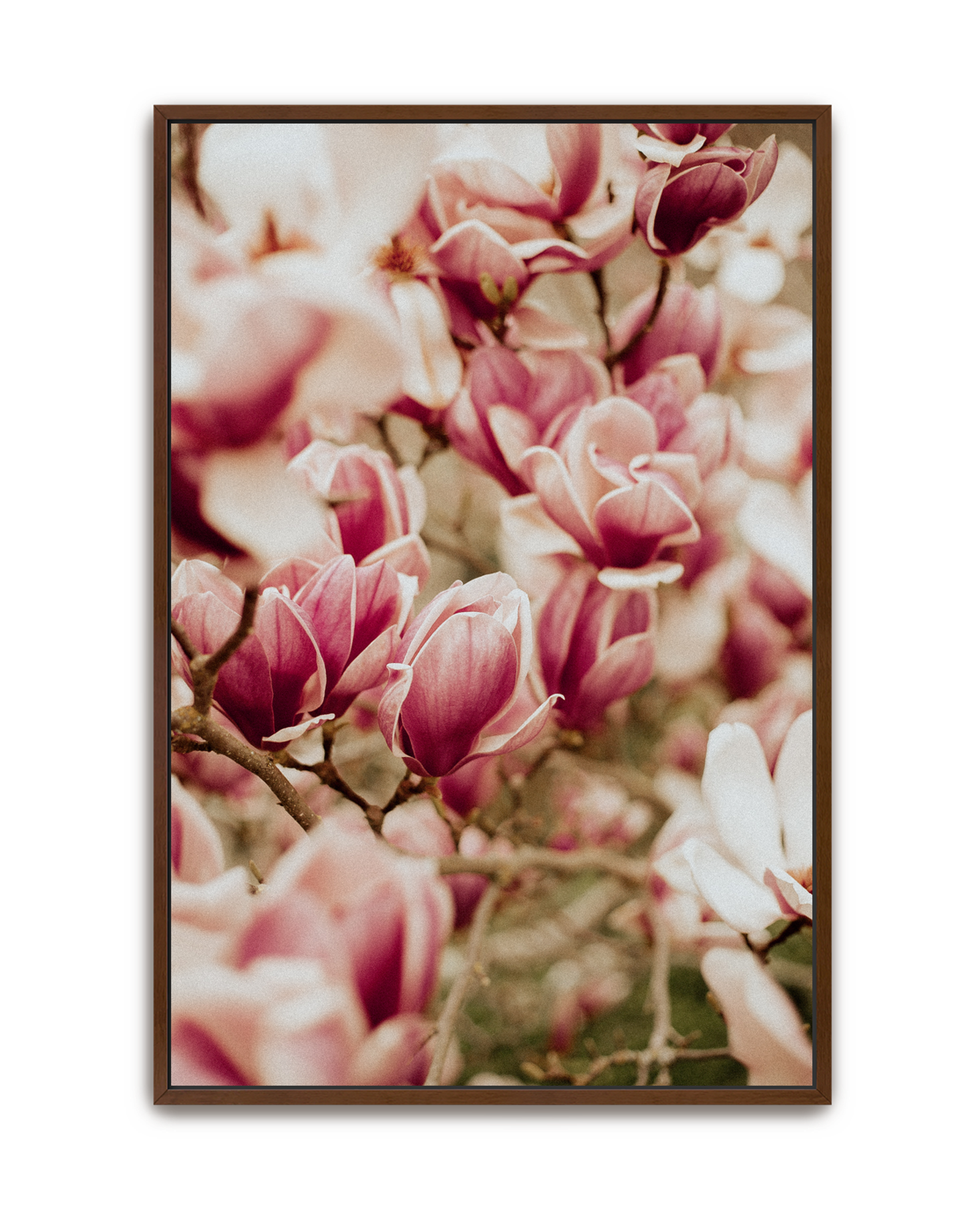 spring-chorus-walnut-canvas.png