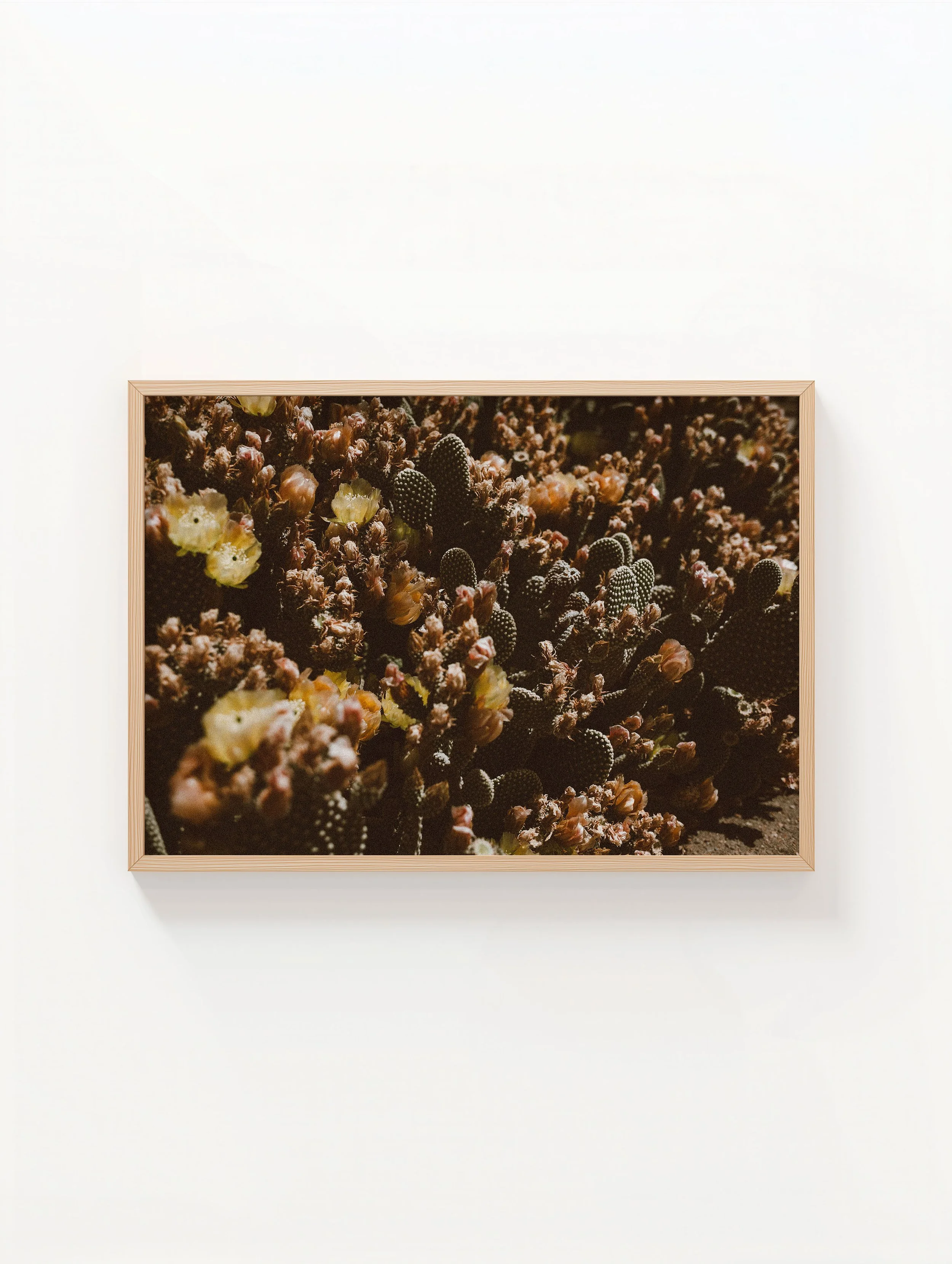 XL Oak Frame Cactus Art.jpg