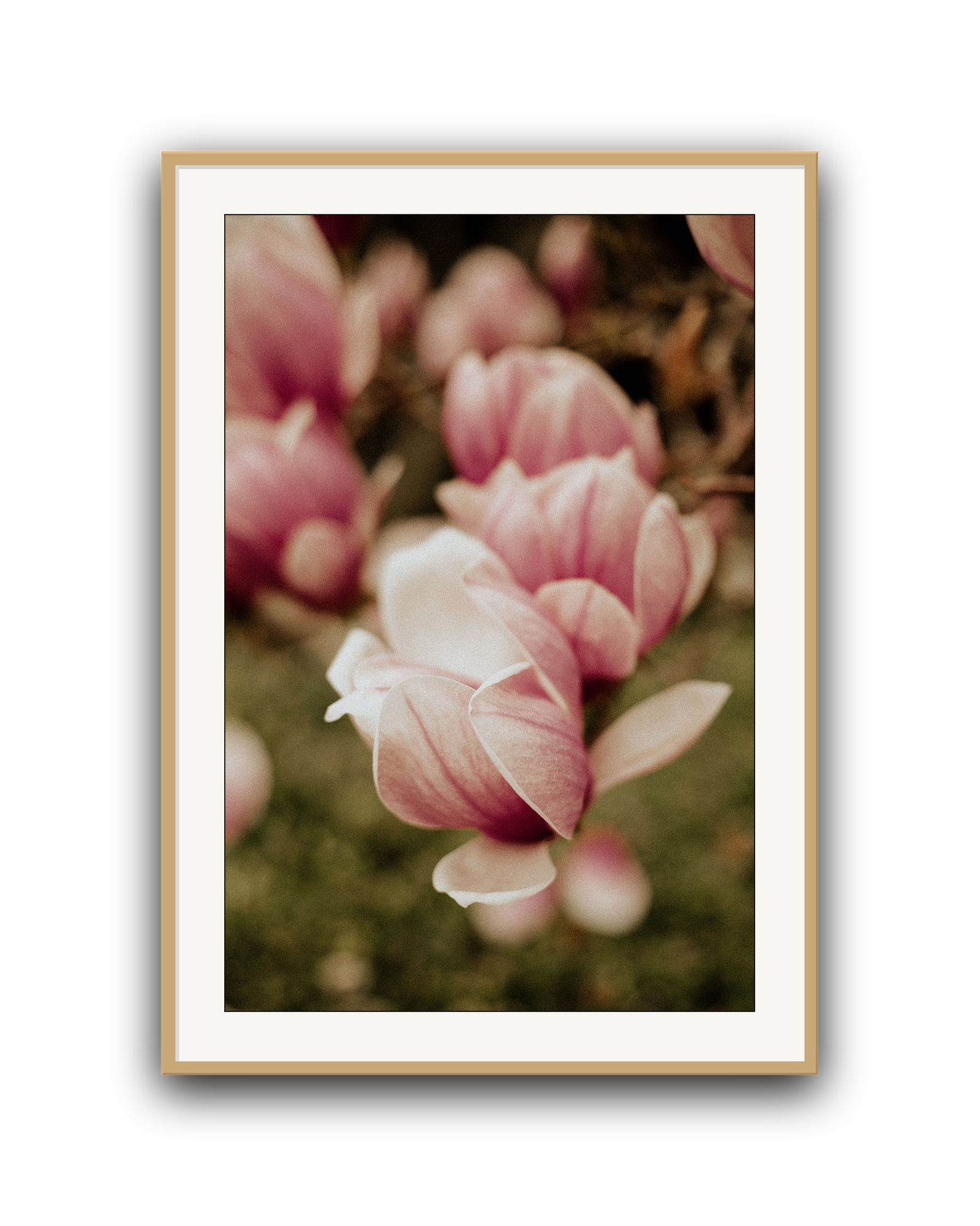 in-bloom-oak-matted.png
