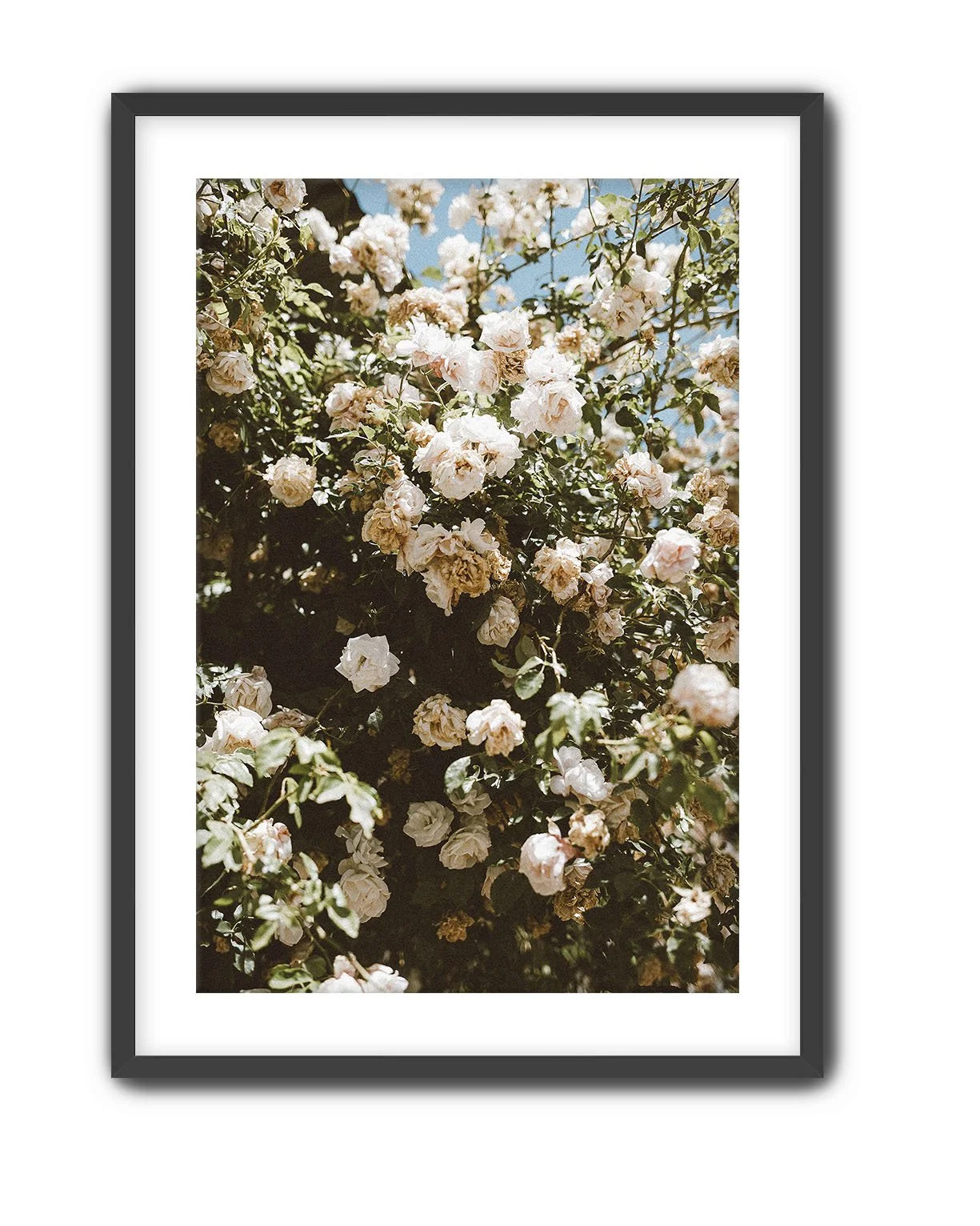 Black Frame Roses Wall Art.jpg