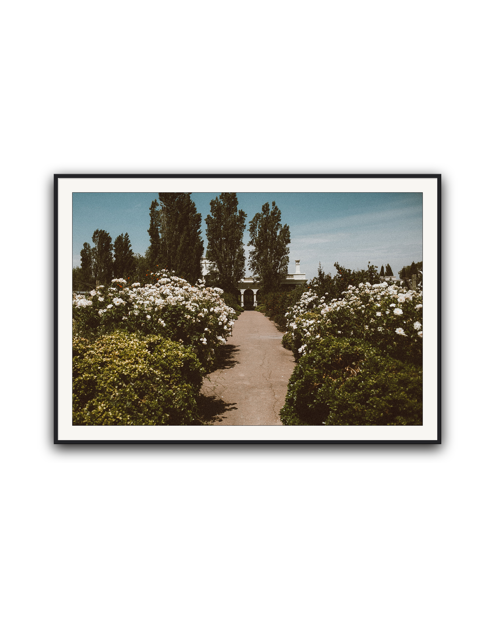 arrival-black-matted.png