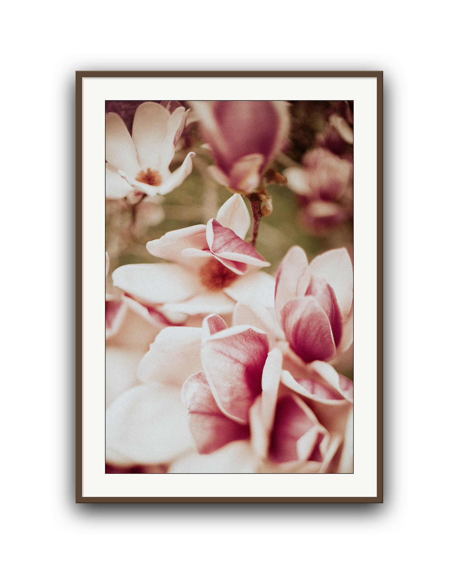 stay-centered-walnut-matted.png