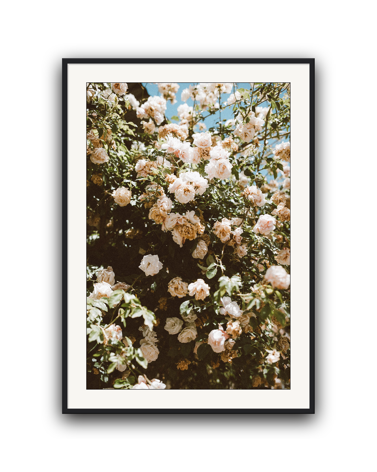 endless-garden-black-matted.png