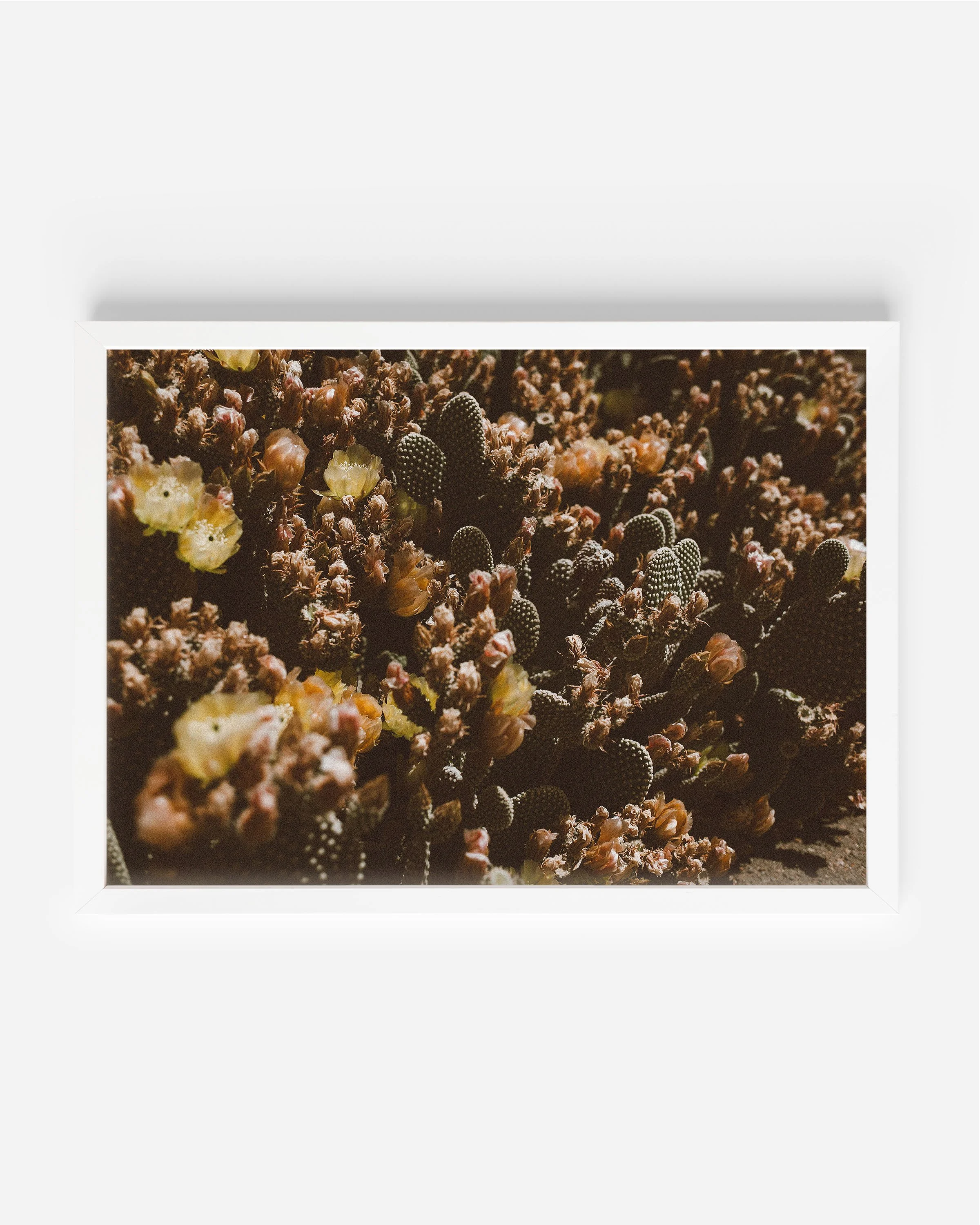 XL White Frame Cactus Art.jpg