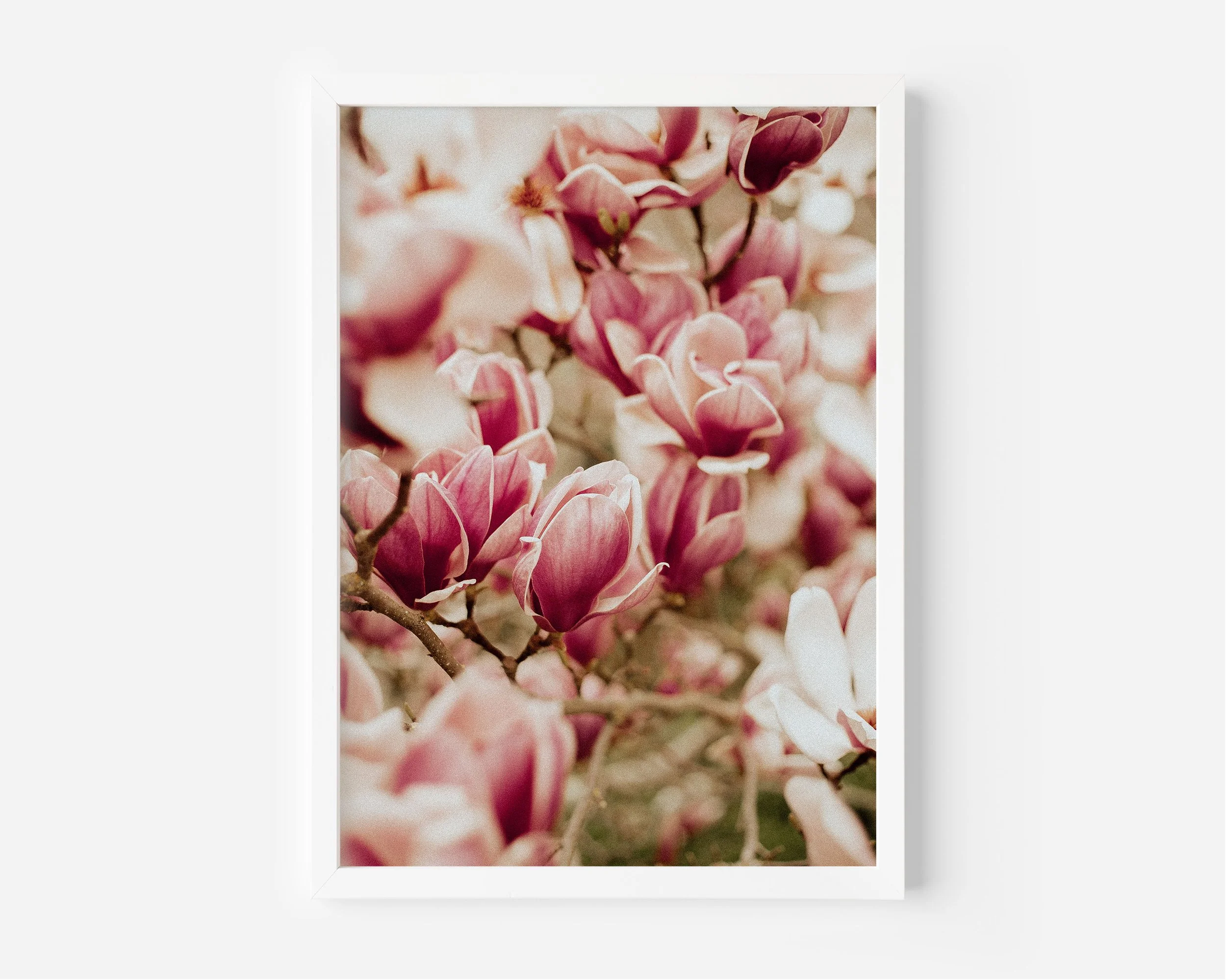 Spring Chorus XL White Frame.jpg