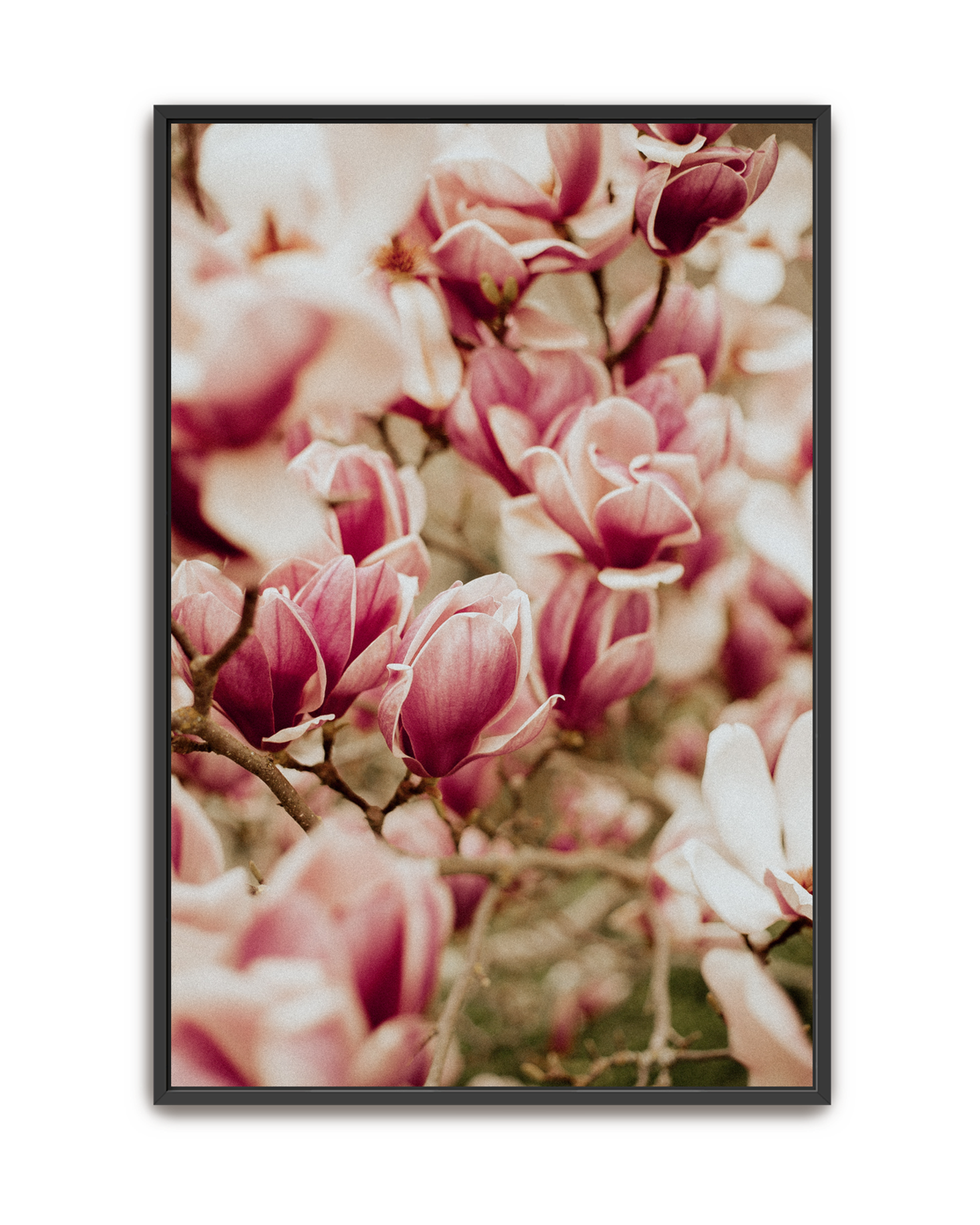 spring-chorus-black-canvas.png