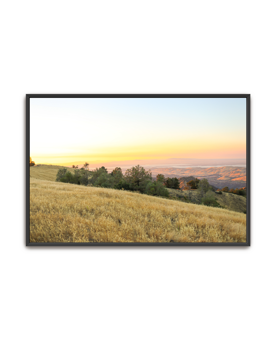 golden-ridge-black-canvas.png