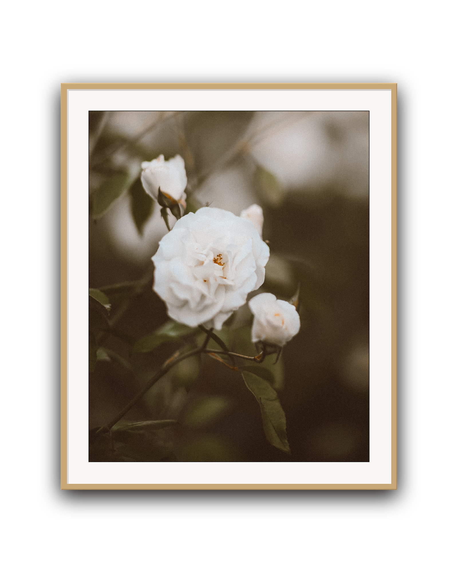 hushed-bloom-oak-matted.png