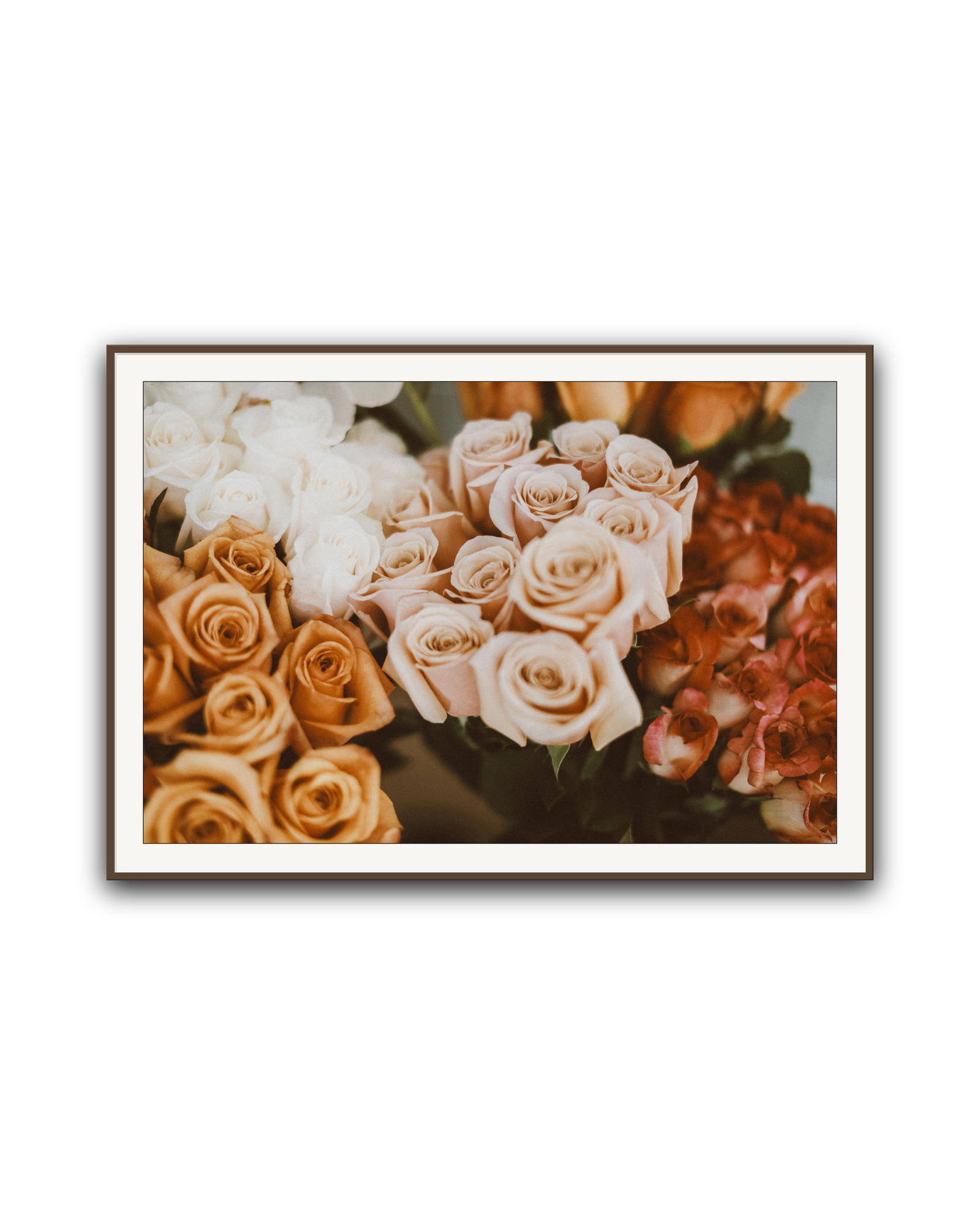 blush-hour-walnut-matted.png