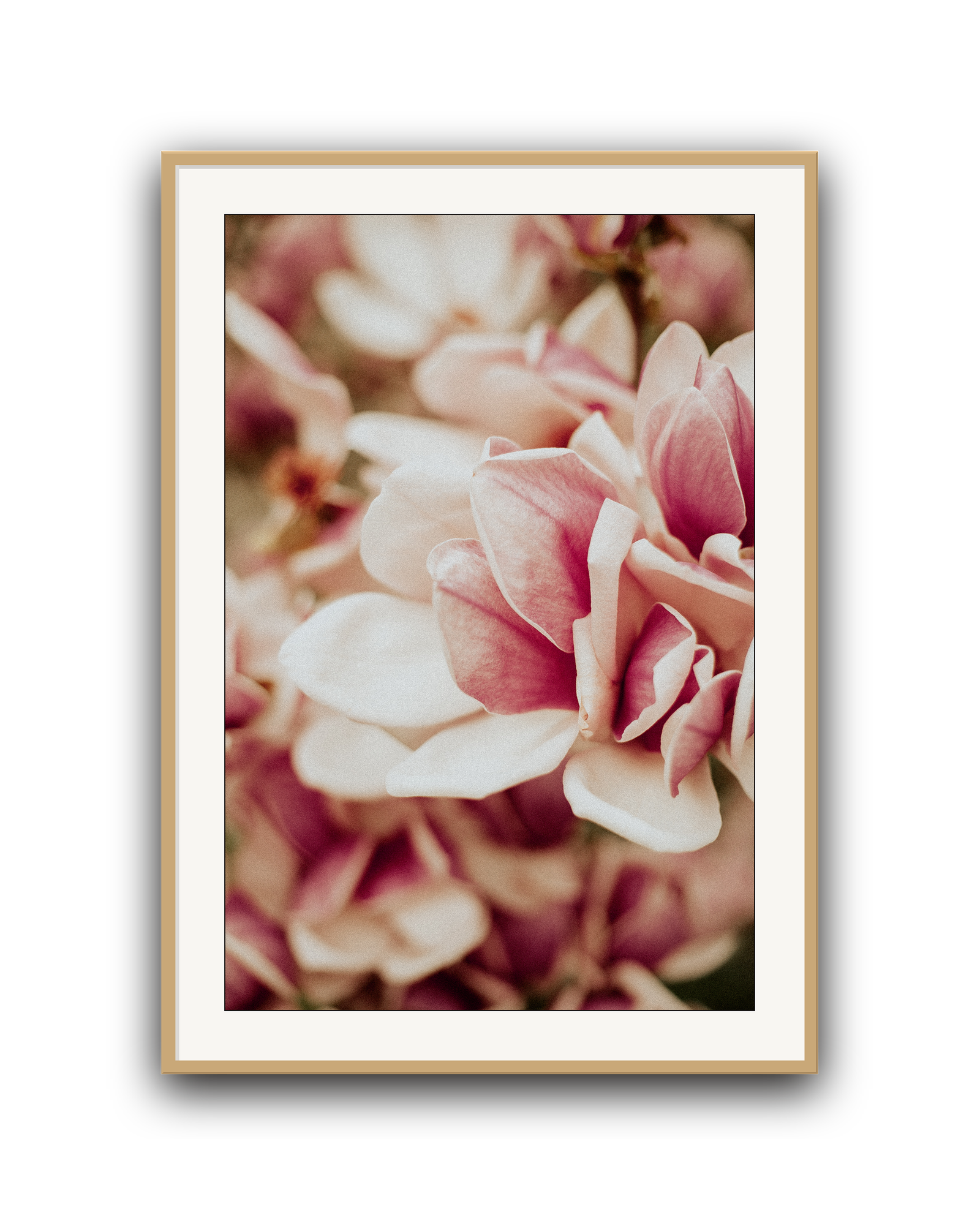 pink-velvet-oak-matted.png