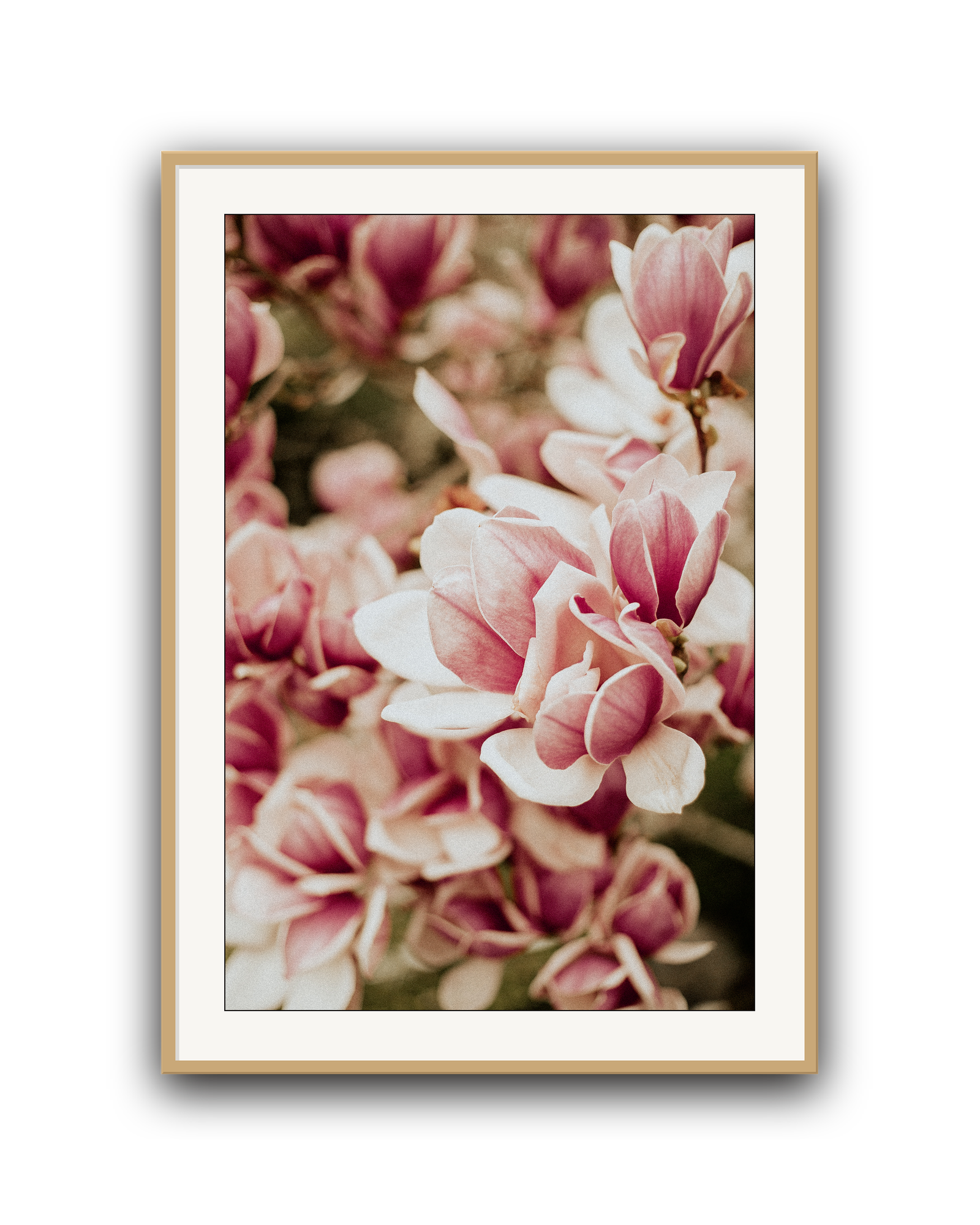 among-friends-oak-matted.png