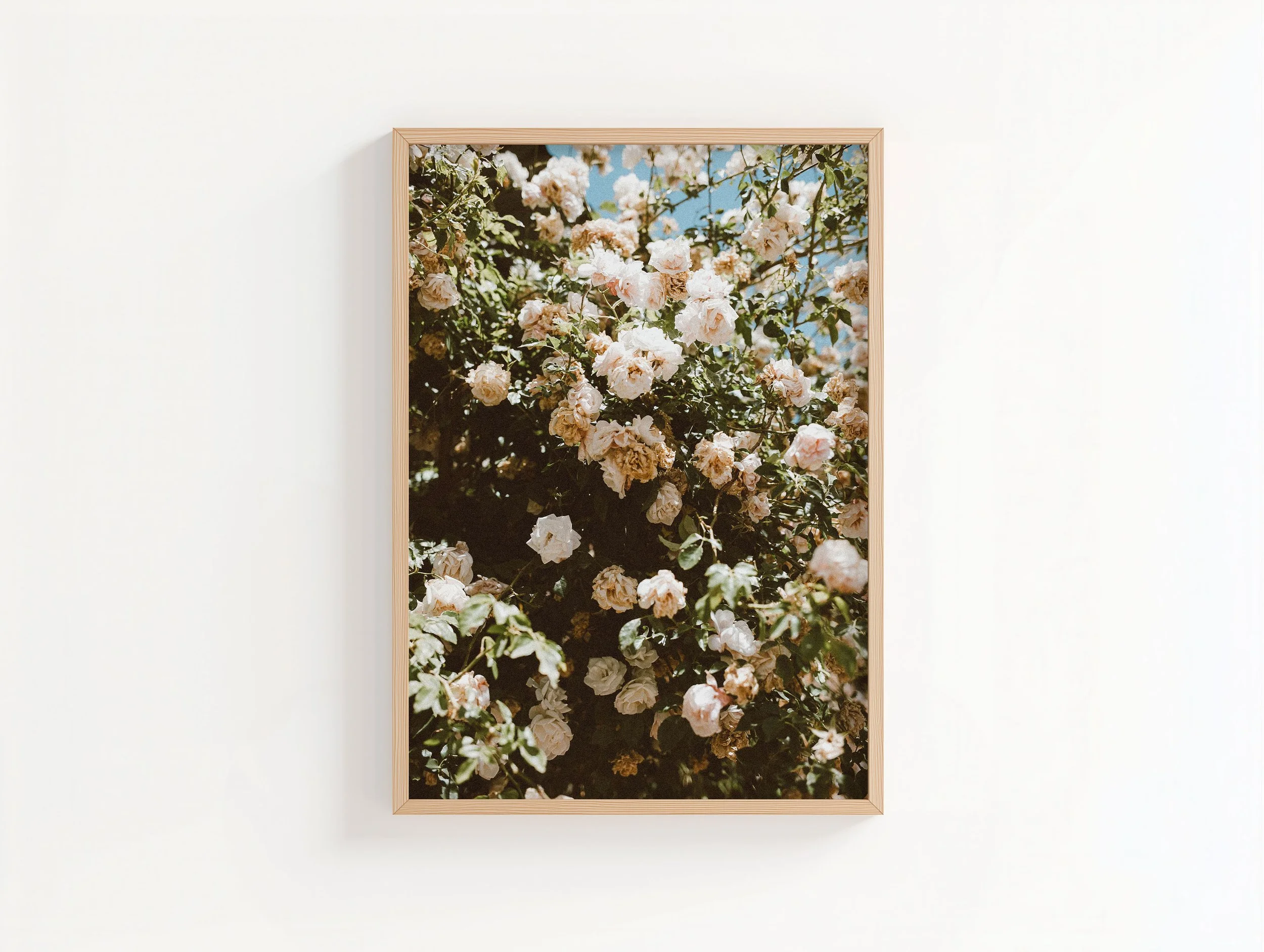 XL Oak Frame Rose Cluster.jpg