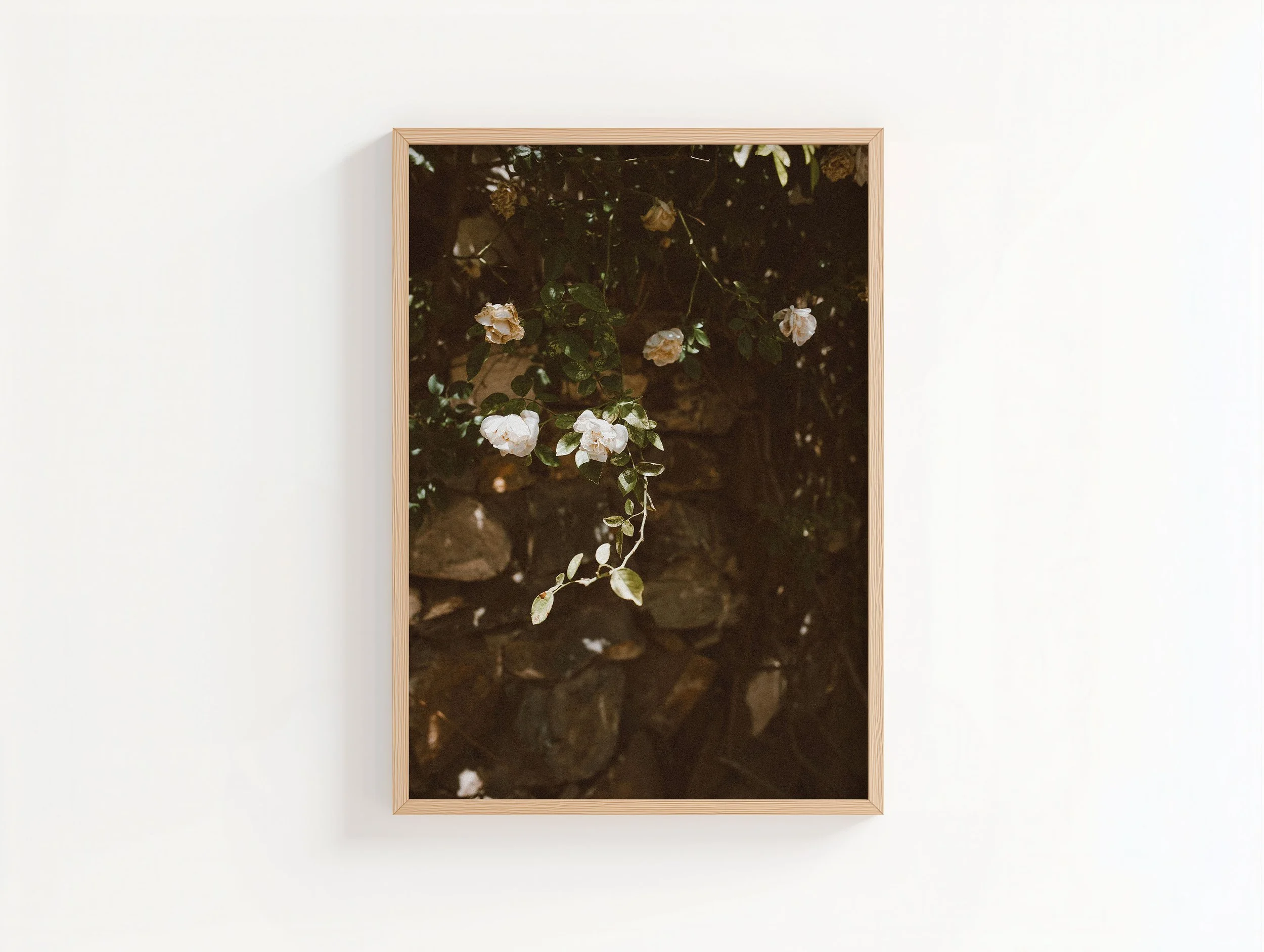 XL Oak Frame White Rose.jpg