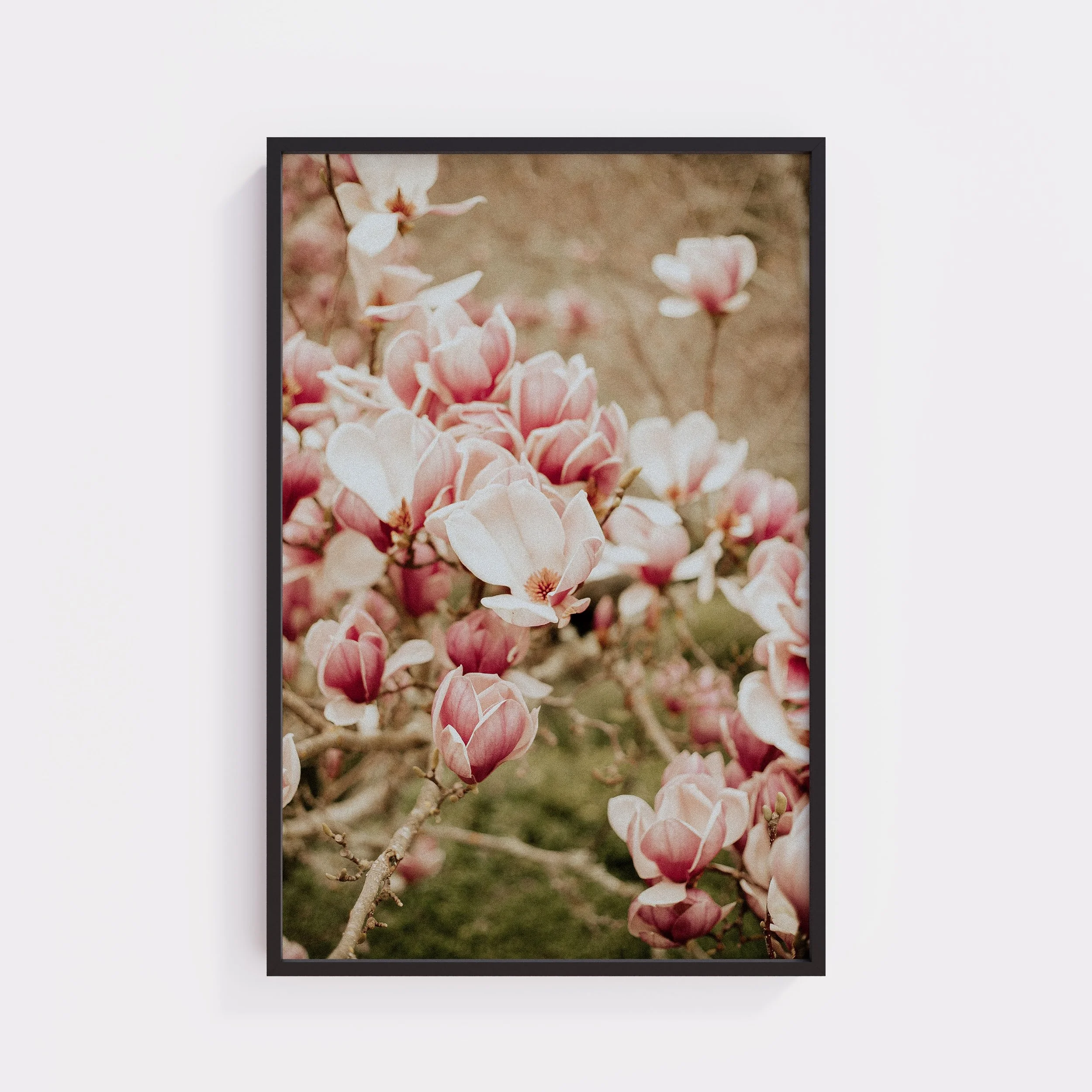 Open Hearted Large Print.jpg