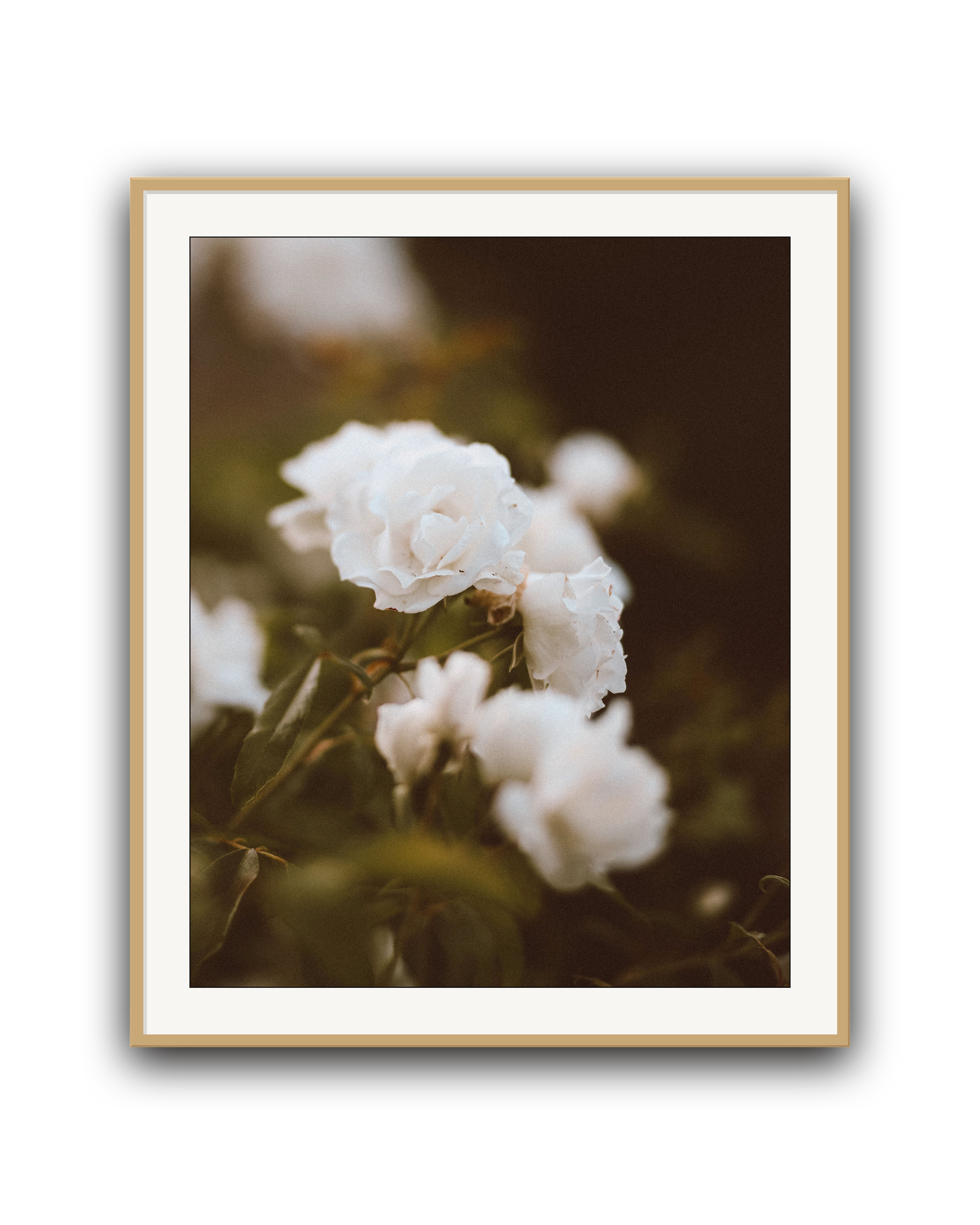 full-bloom-oak-matted.png