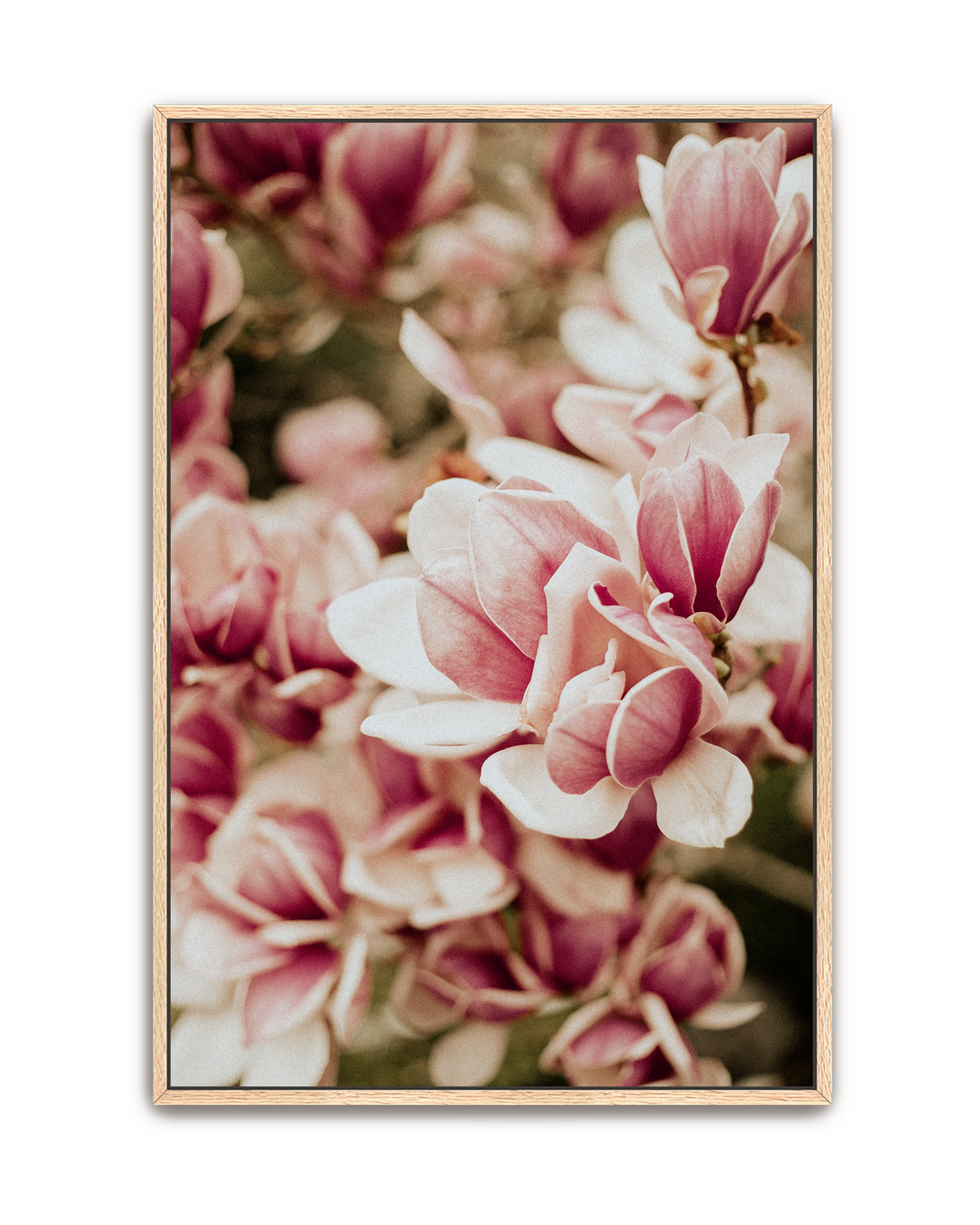 among-friends-oak-canvas.png