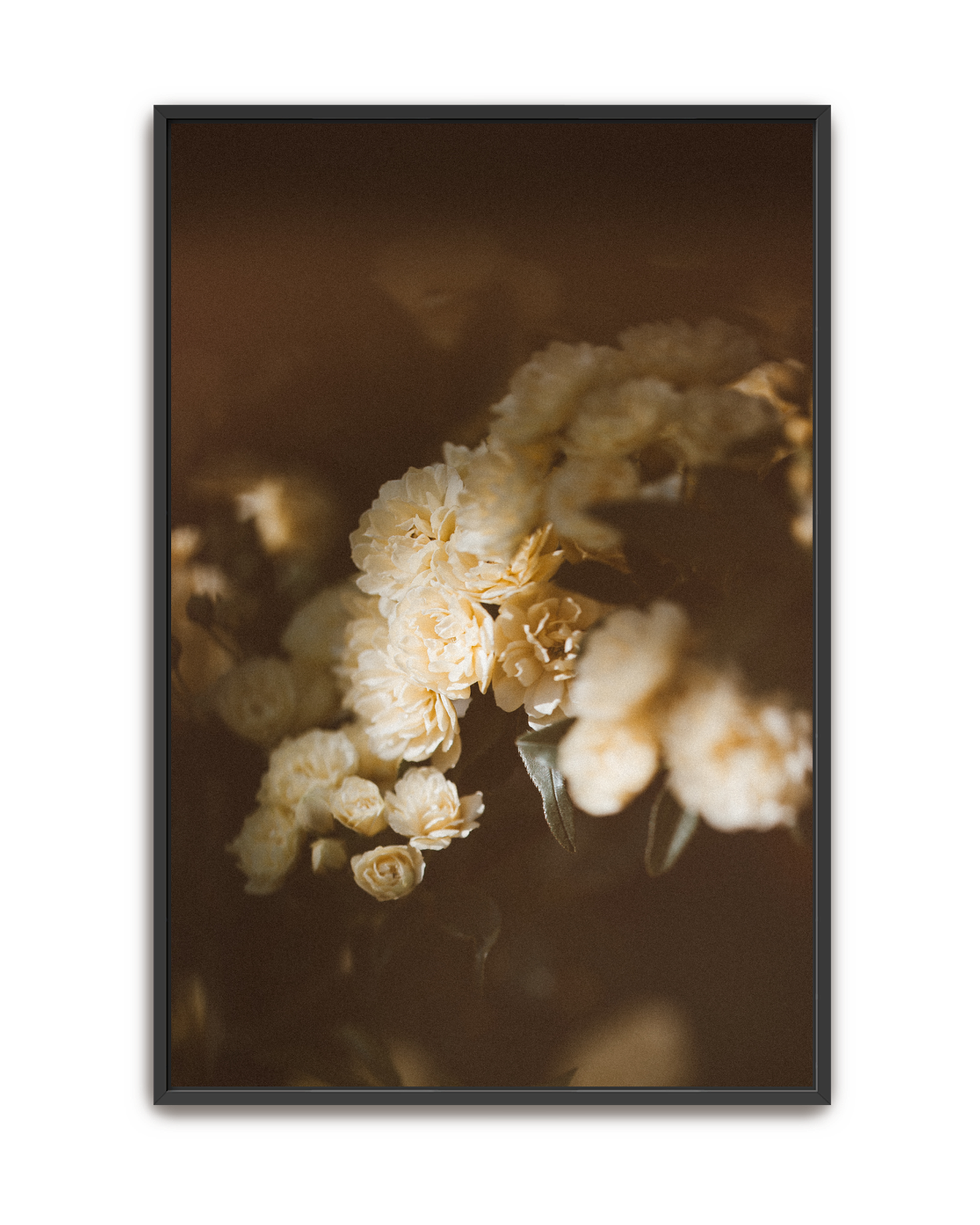 evening-climb-black-canvas.png