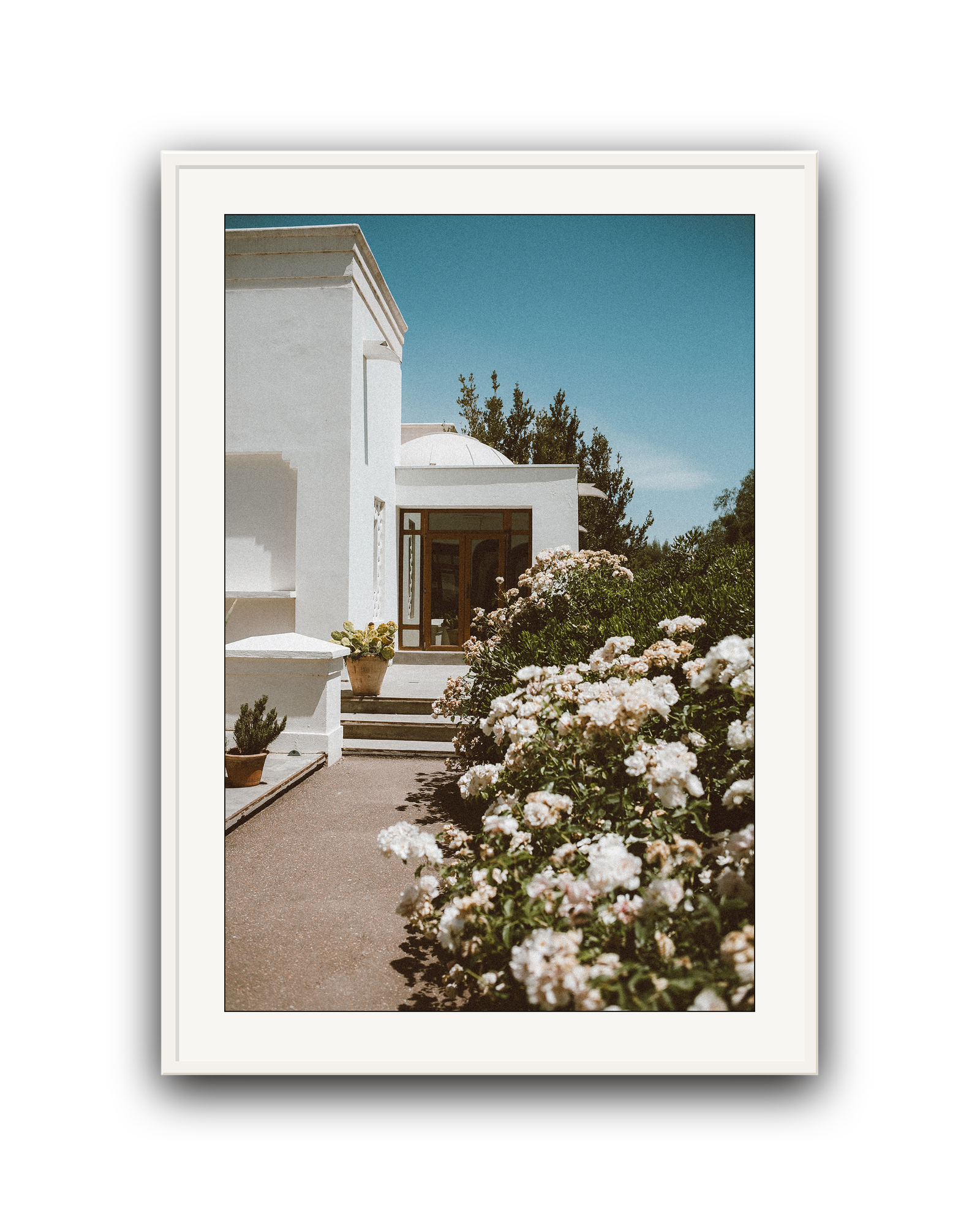 White Summer