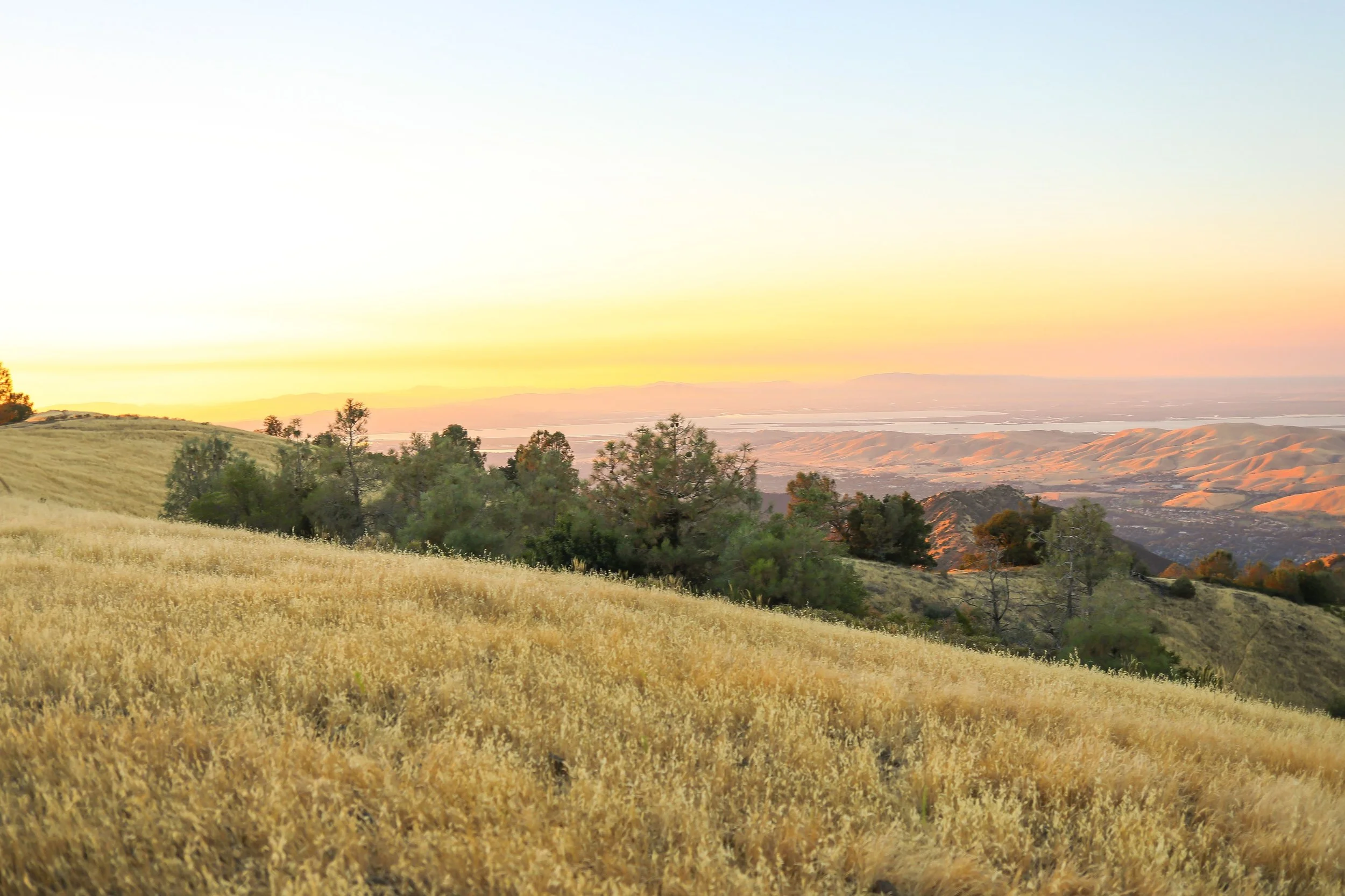 Golden hillside with trees overlooking a valley and distant hills lit by warm sunset light